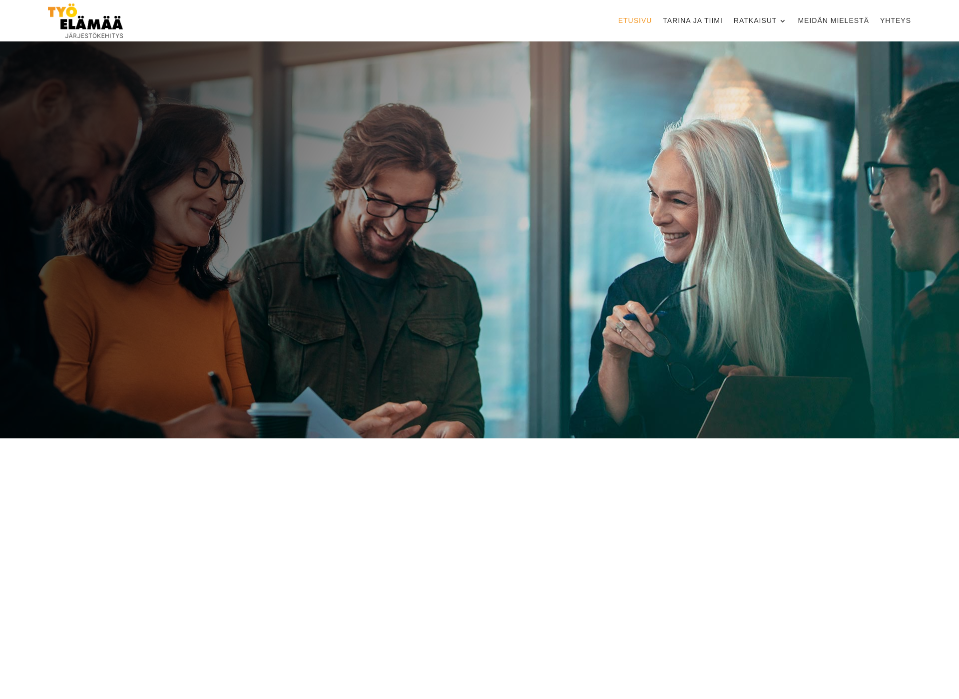 Screenshot for järjestökehitys.fi