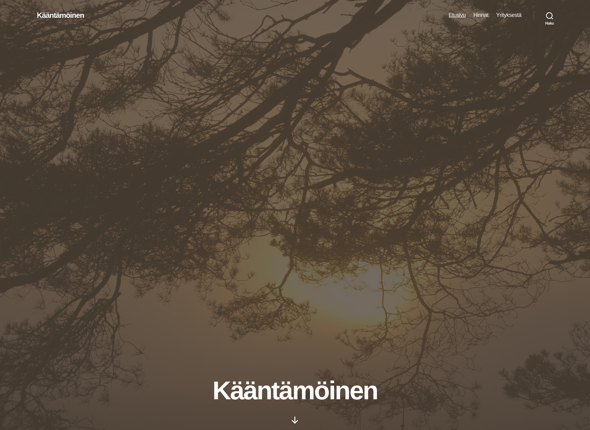 Skärmdump för kaantamoinen.fi