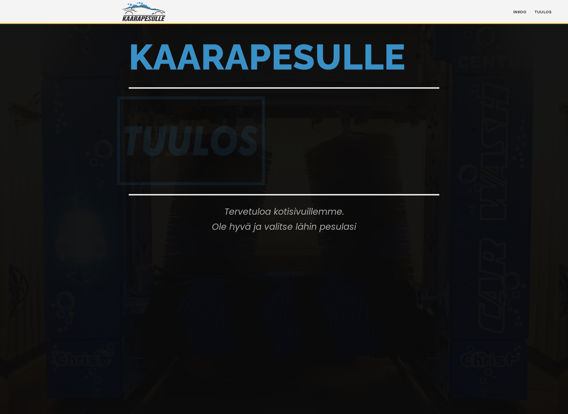 Skärmdump för kaarapesulle.fi