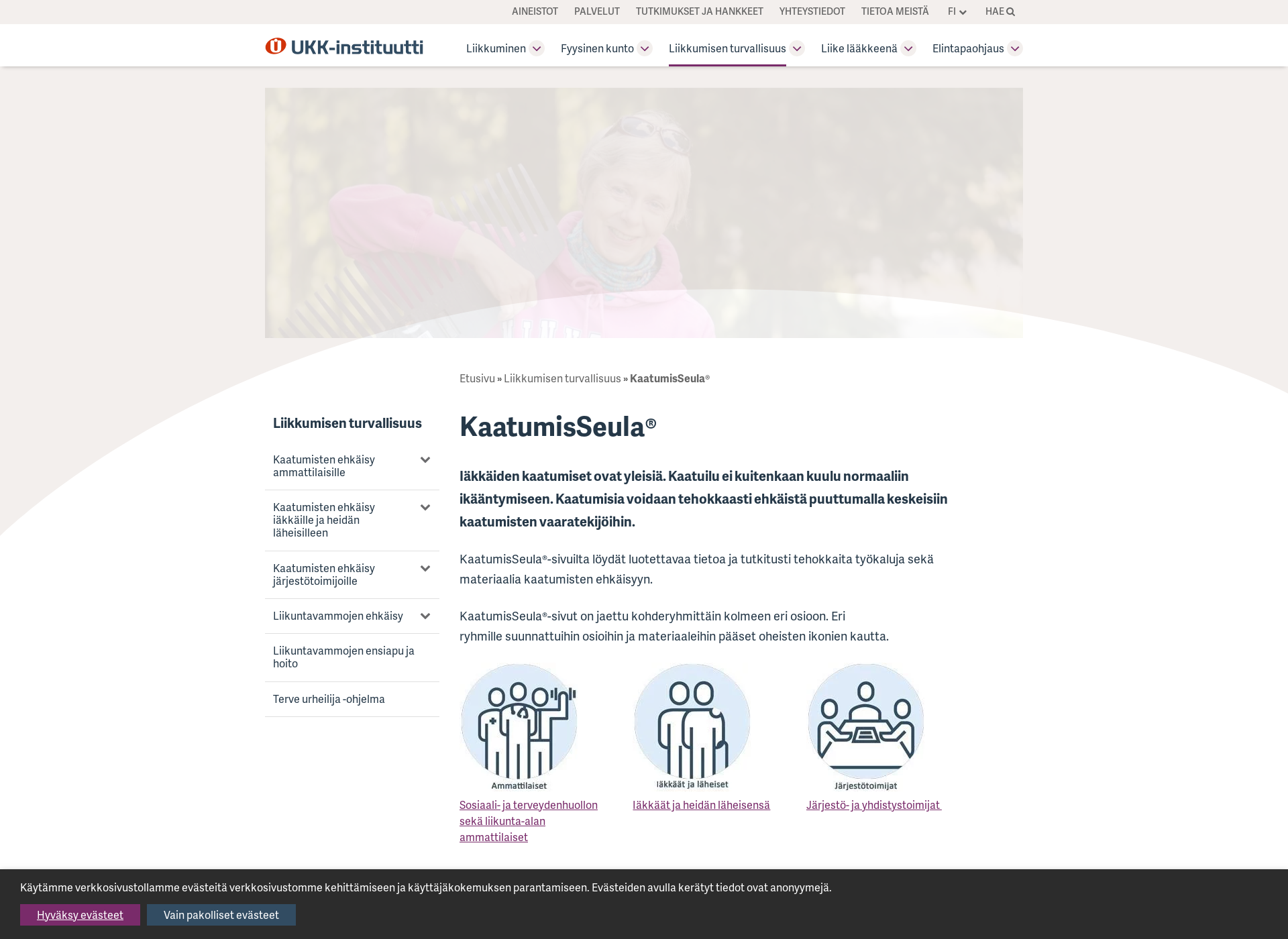 Skärmdump för kaatumisseula.fi