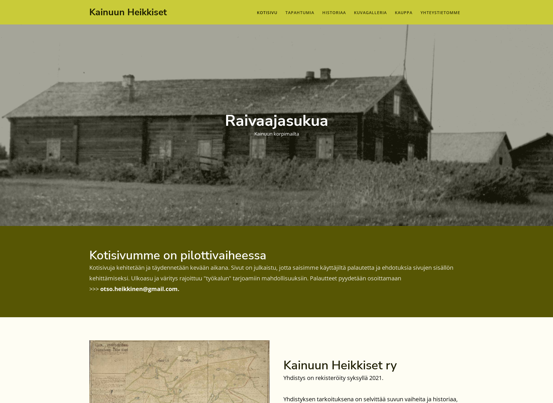 Screenshot for kainuunheikkiset.fi