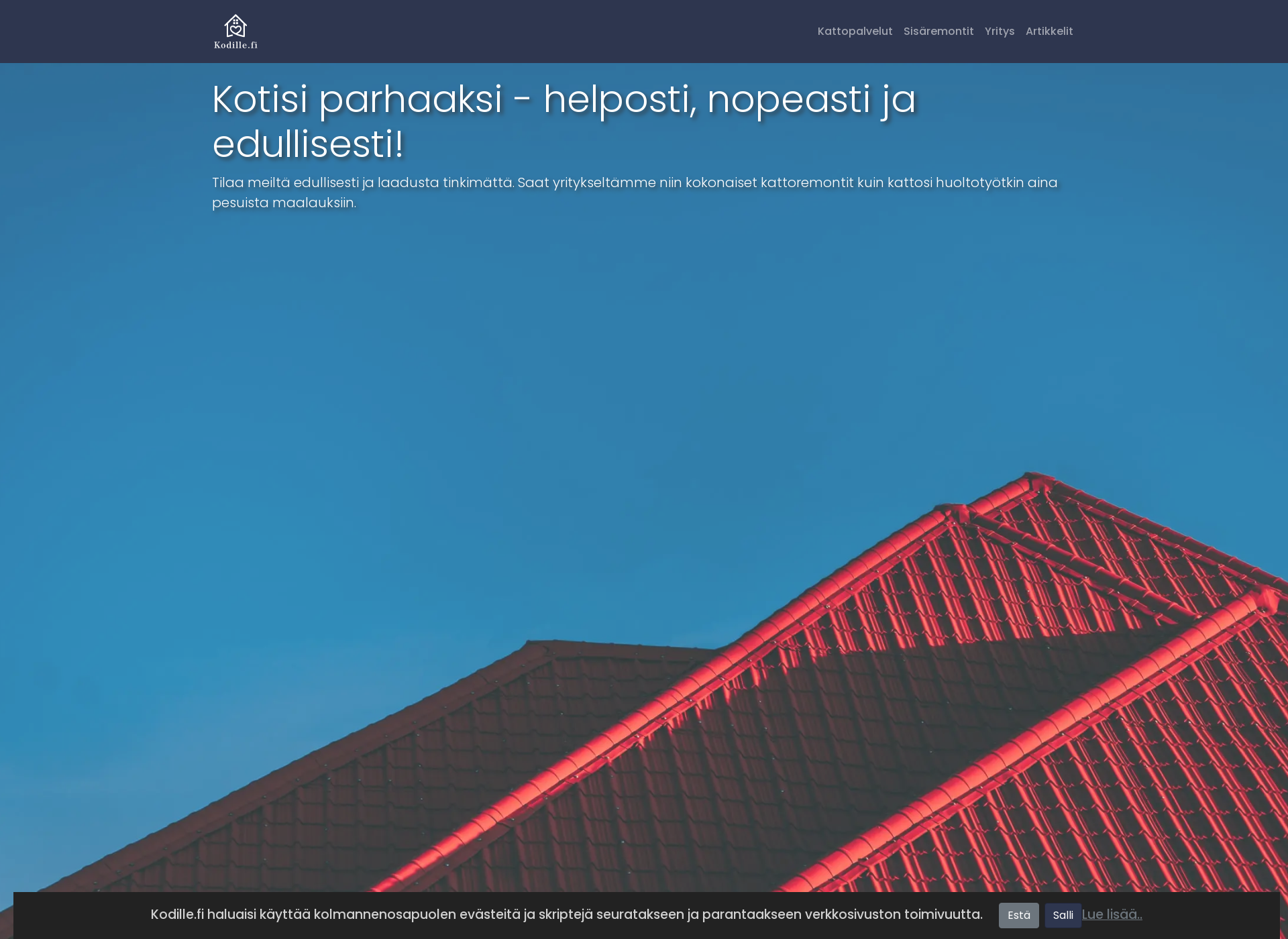 Screenshot for kainuunpinnoituspalvelu.fi