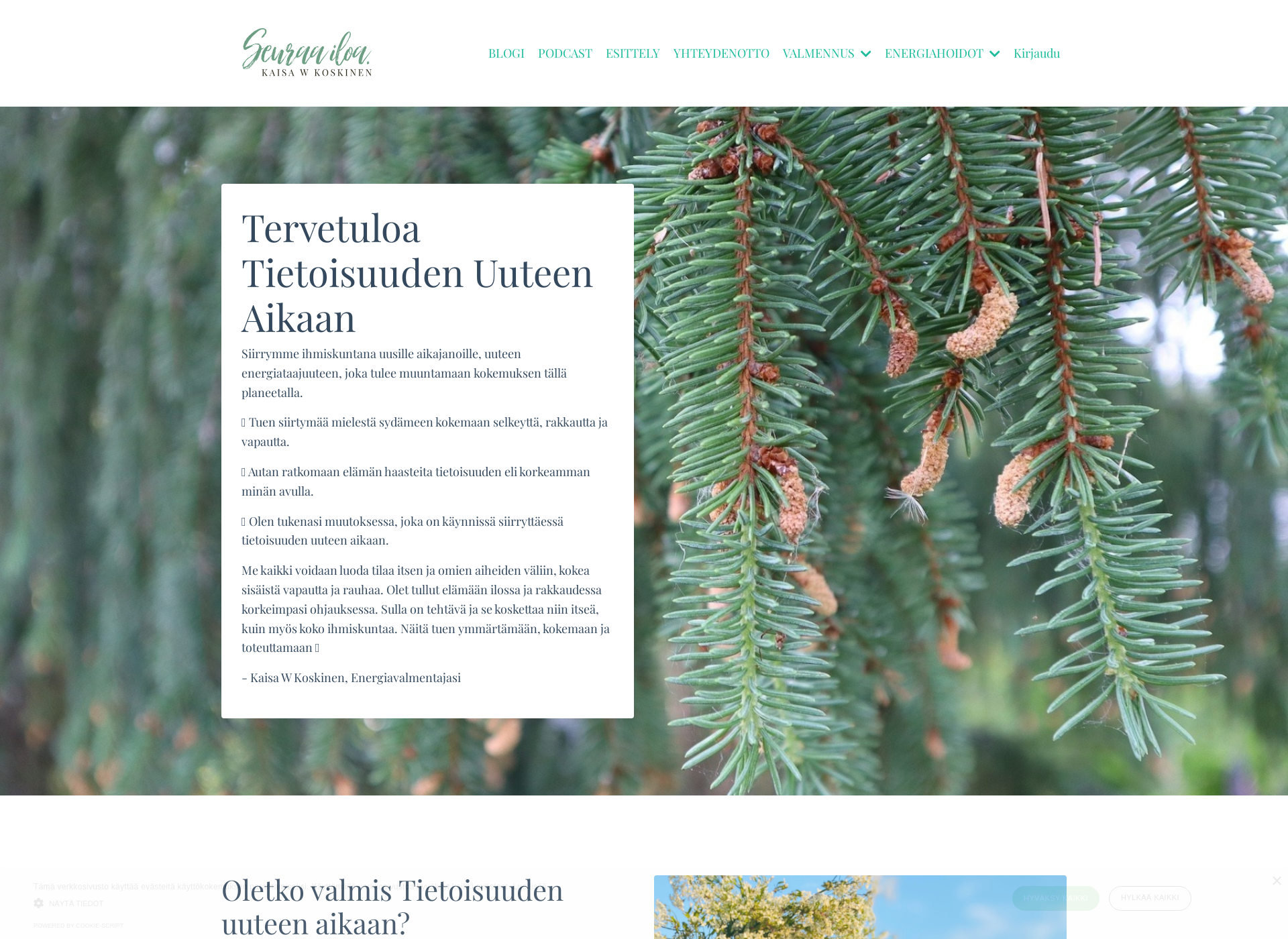 Screenshot for kaisawkoskinen.fi