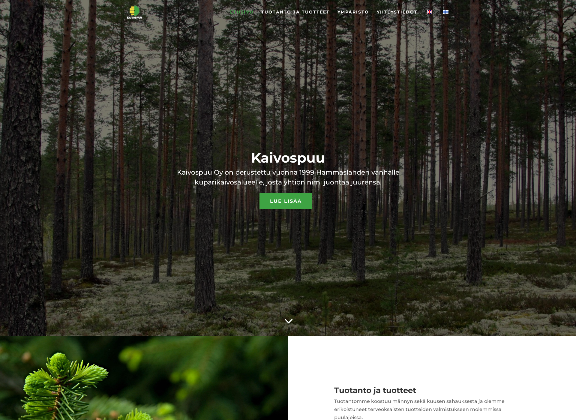 Screenshot for kaivospuu.fi
