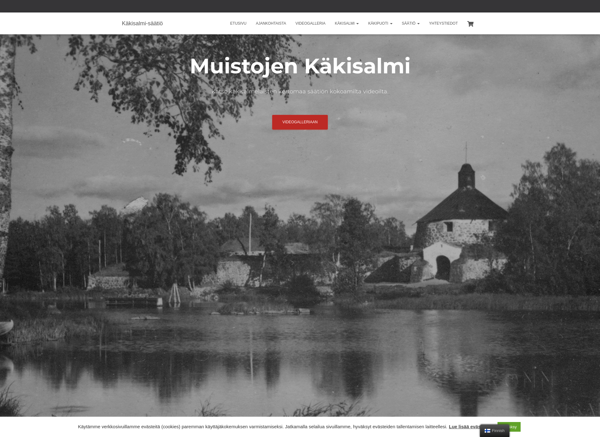 Skärmdump för kakisalmi.fi