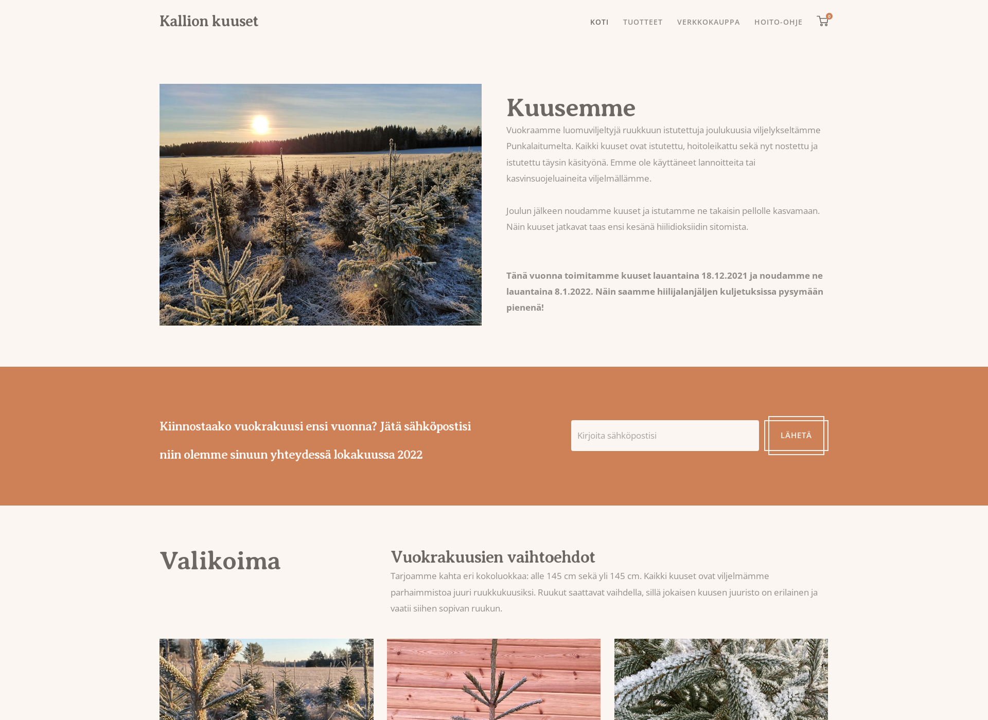 Screenshot for kallionkuuset.fi