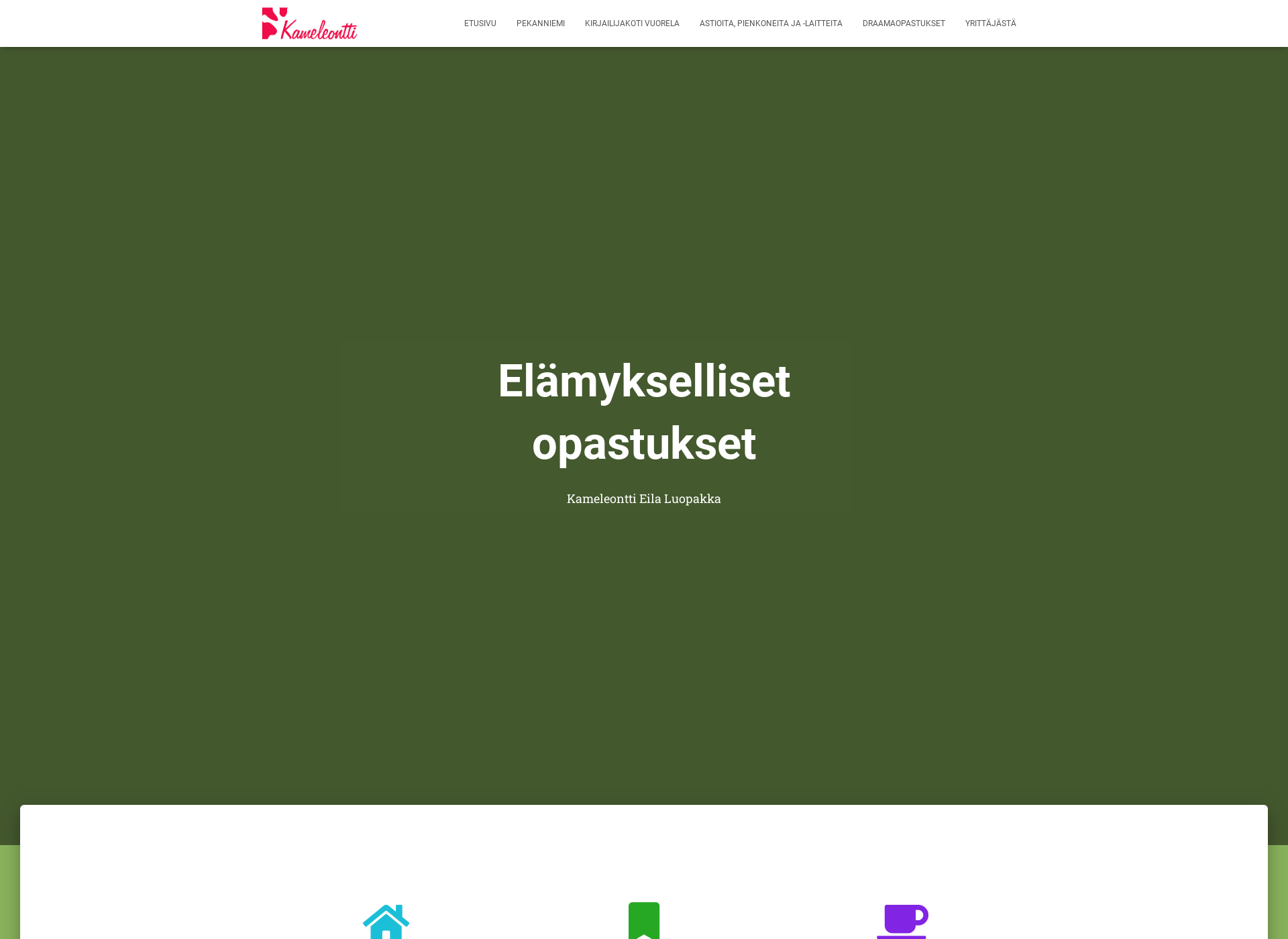 Screenshot for kameleontti.fi