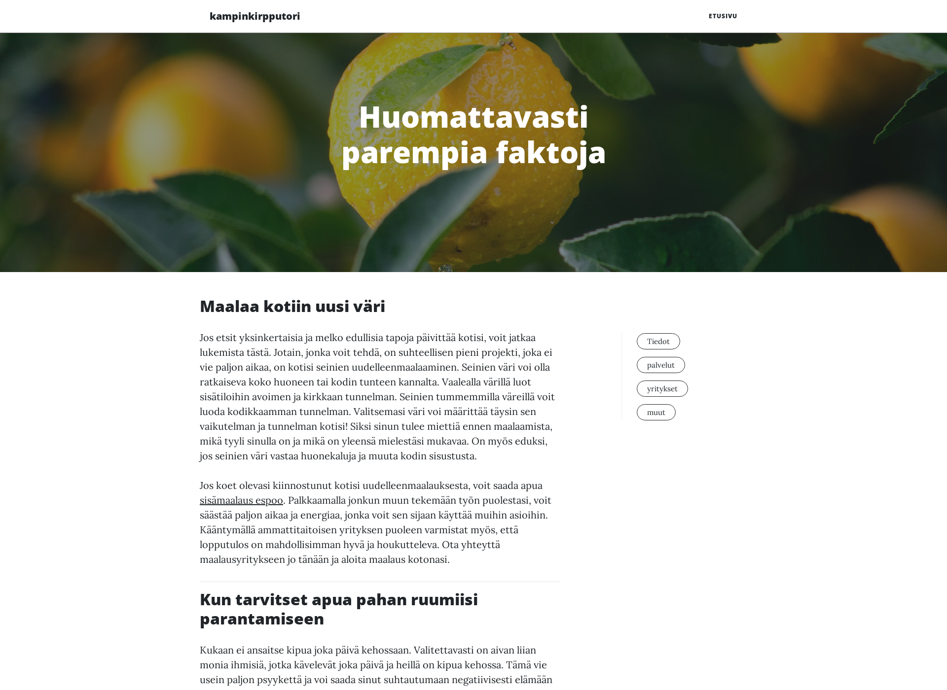 Screenshot for kampinkirpputori.fi