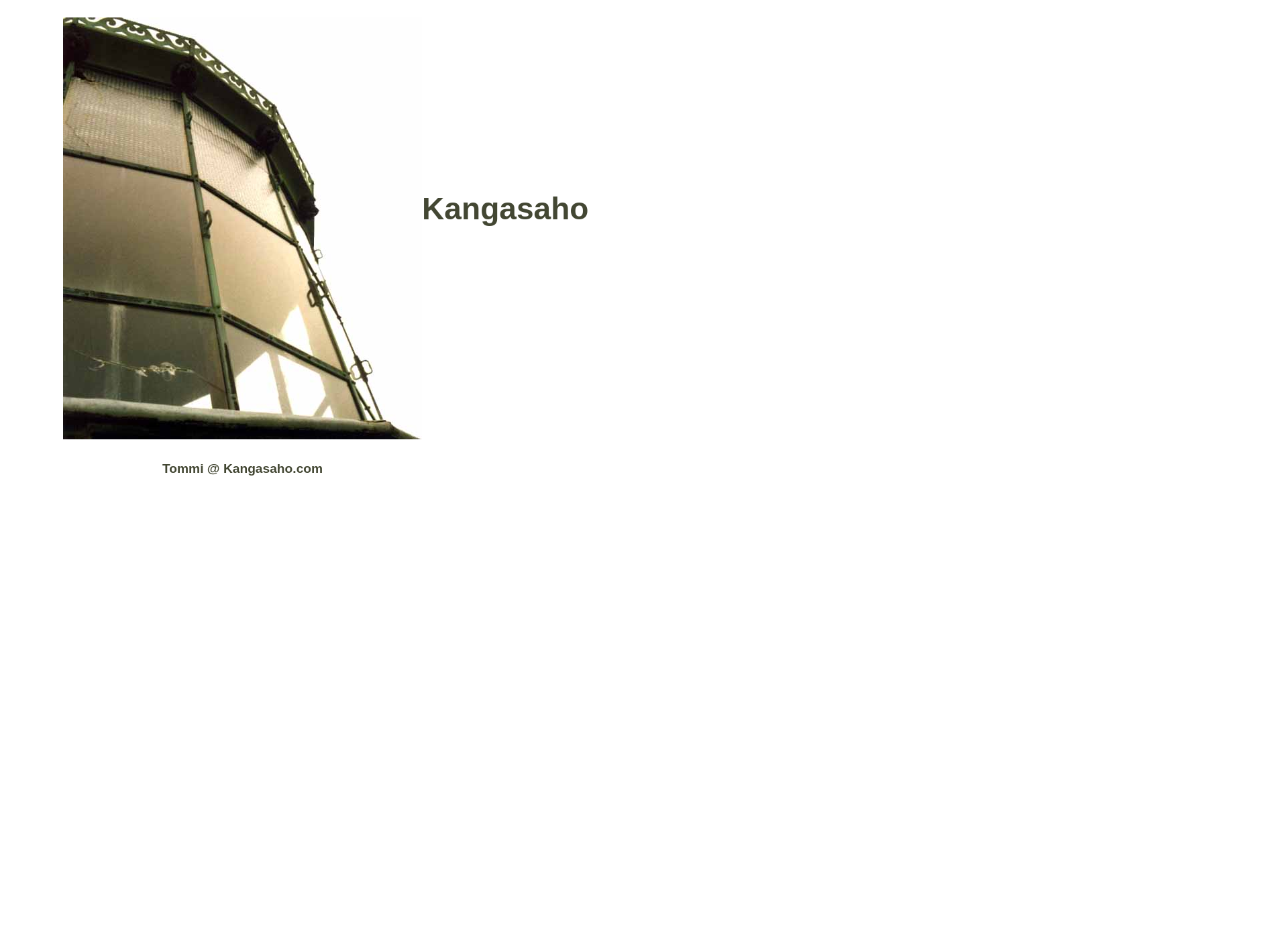 Screenshot for kangasaho.fi