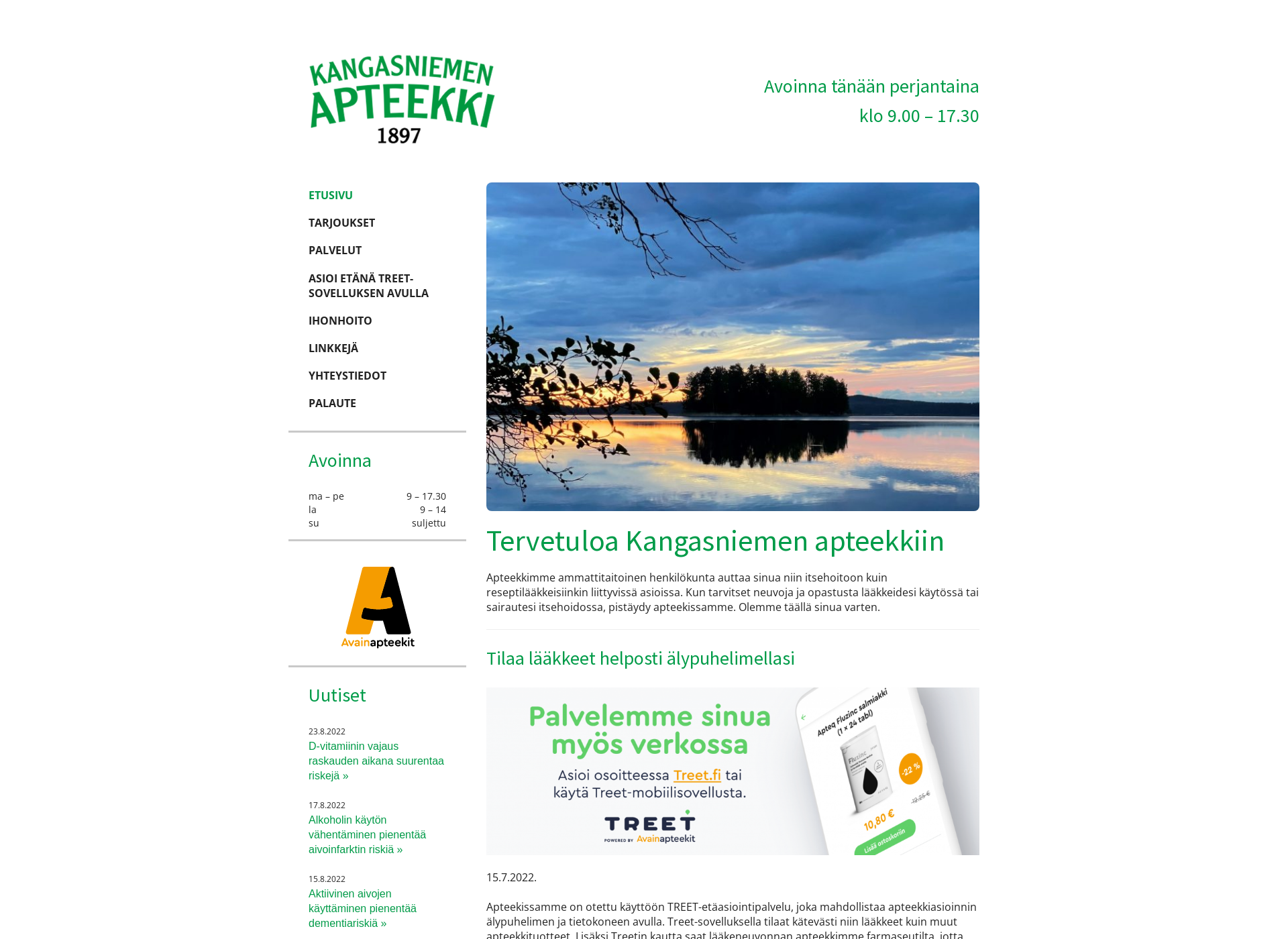 Screenshot for kangasniemenapteekki.fi