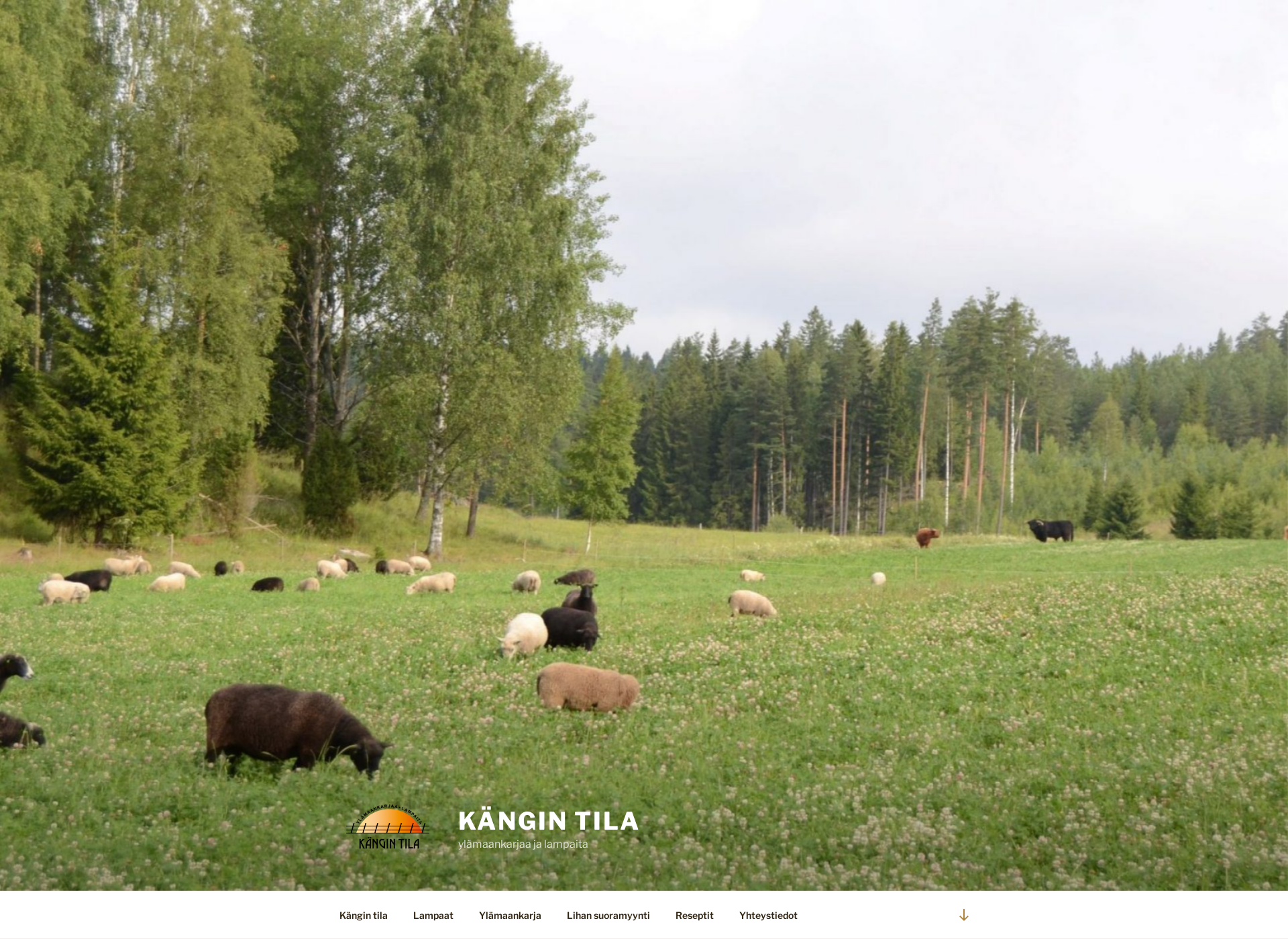 Screenshot for kangintila.fi