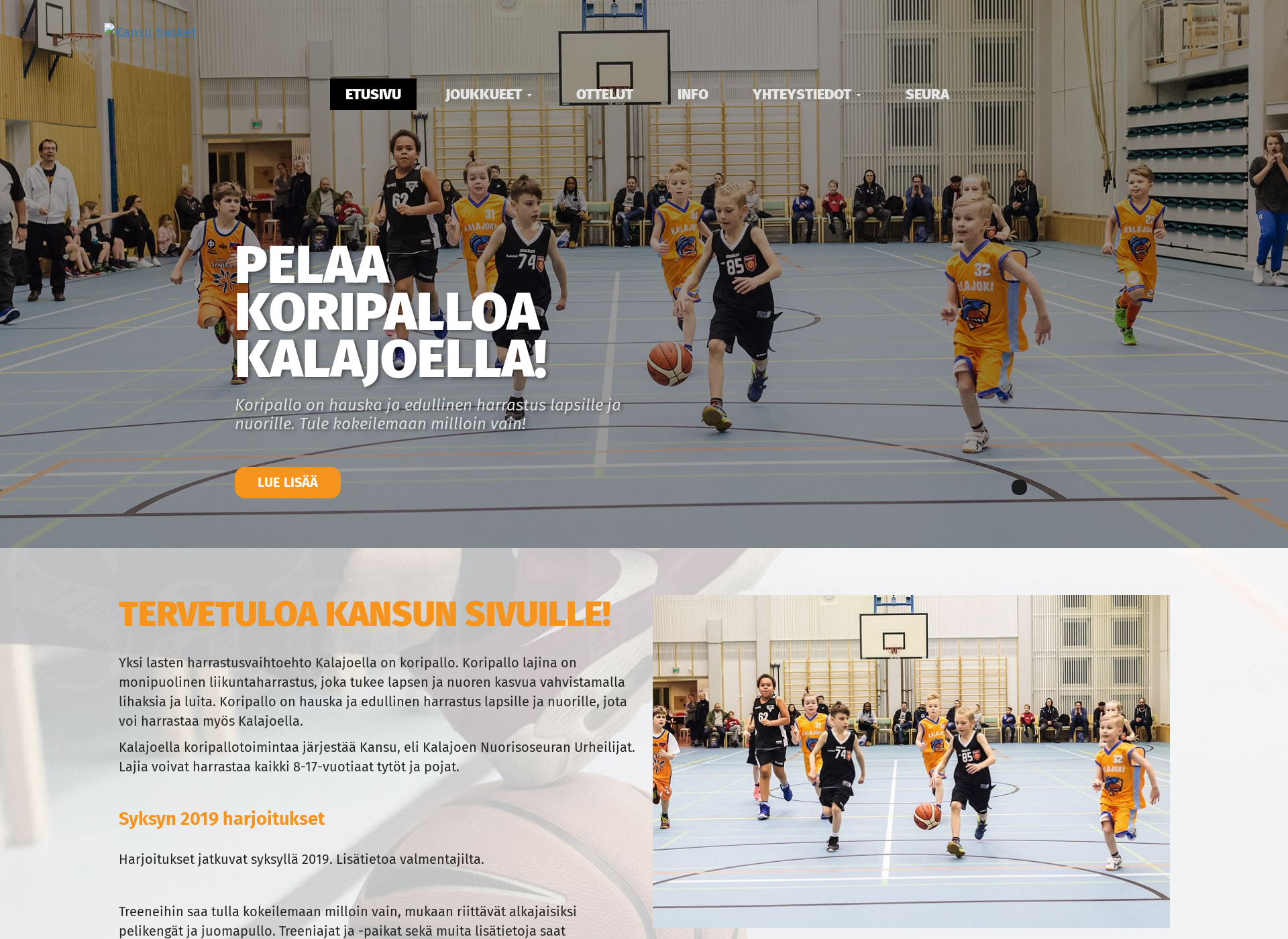 Screenshot for kansubasket.fi