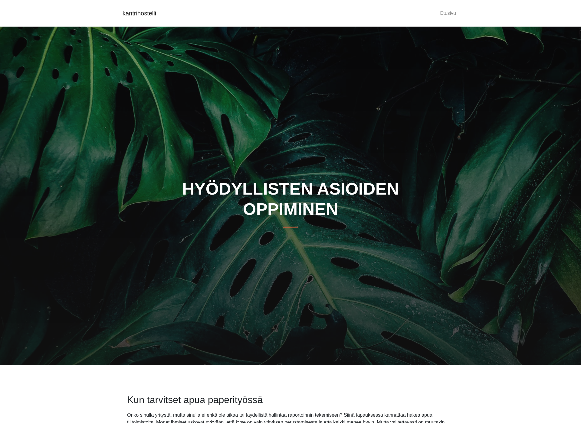 Screenshot for kantrihostelli.fi