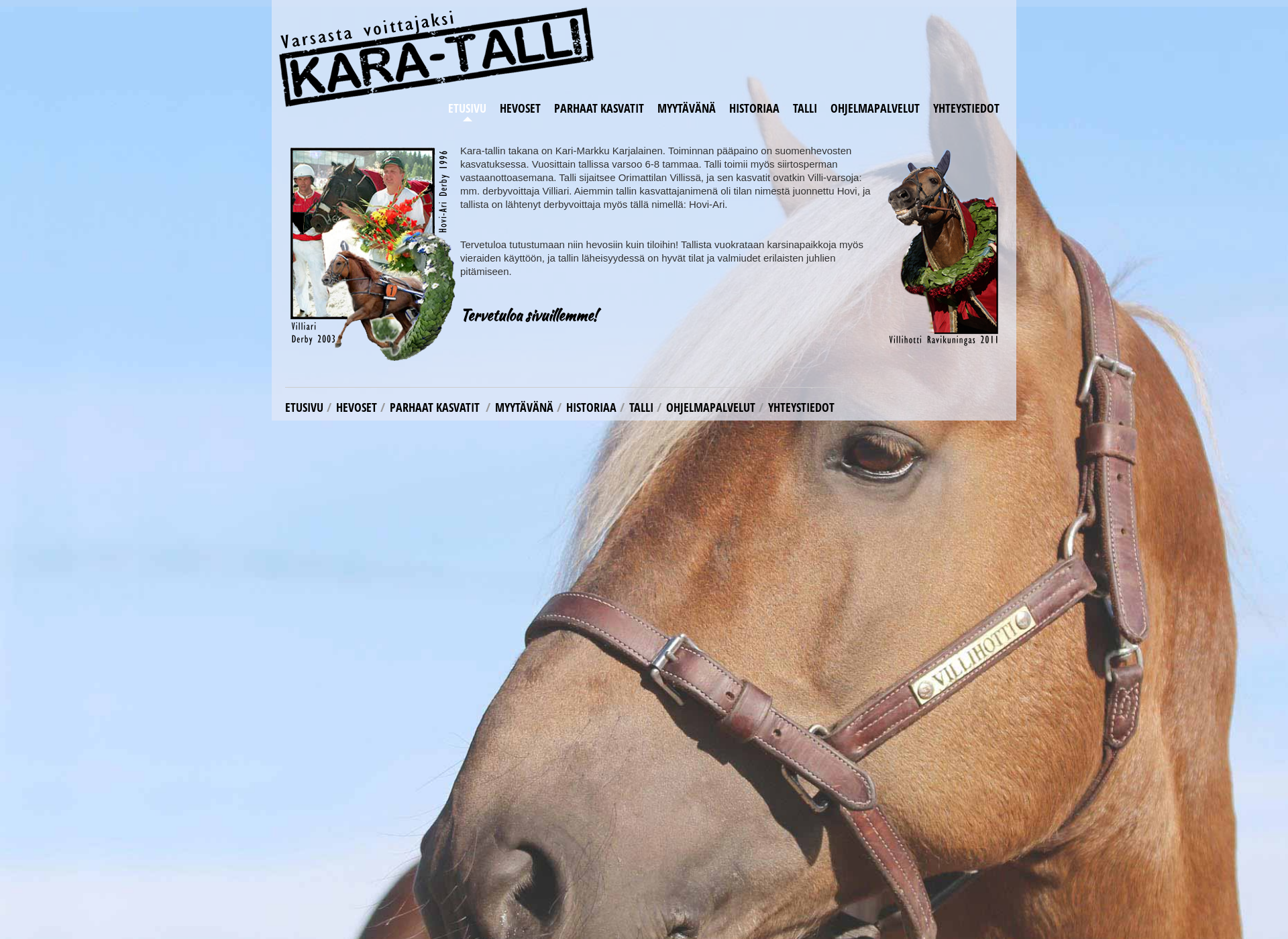 Screenshot for karatalli.fi