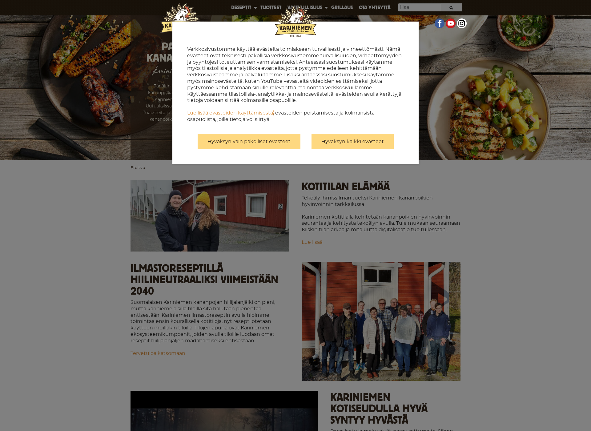 Screenshot for karinas.fi
