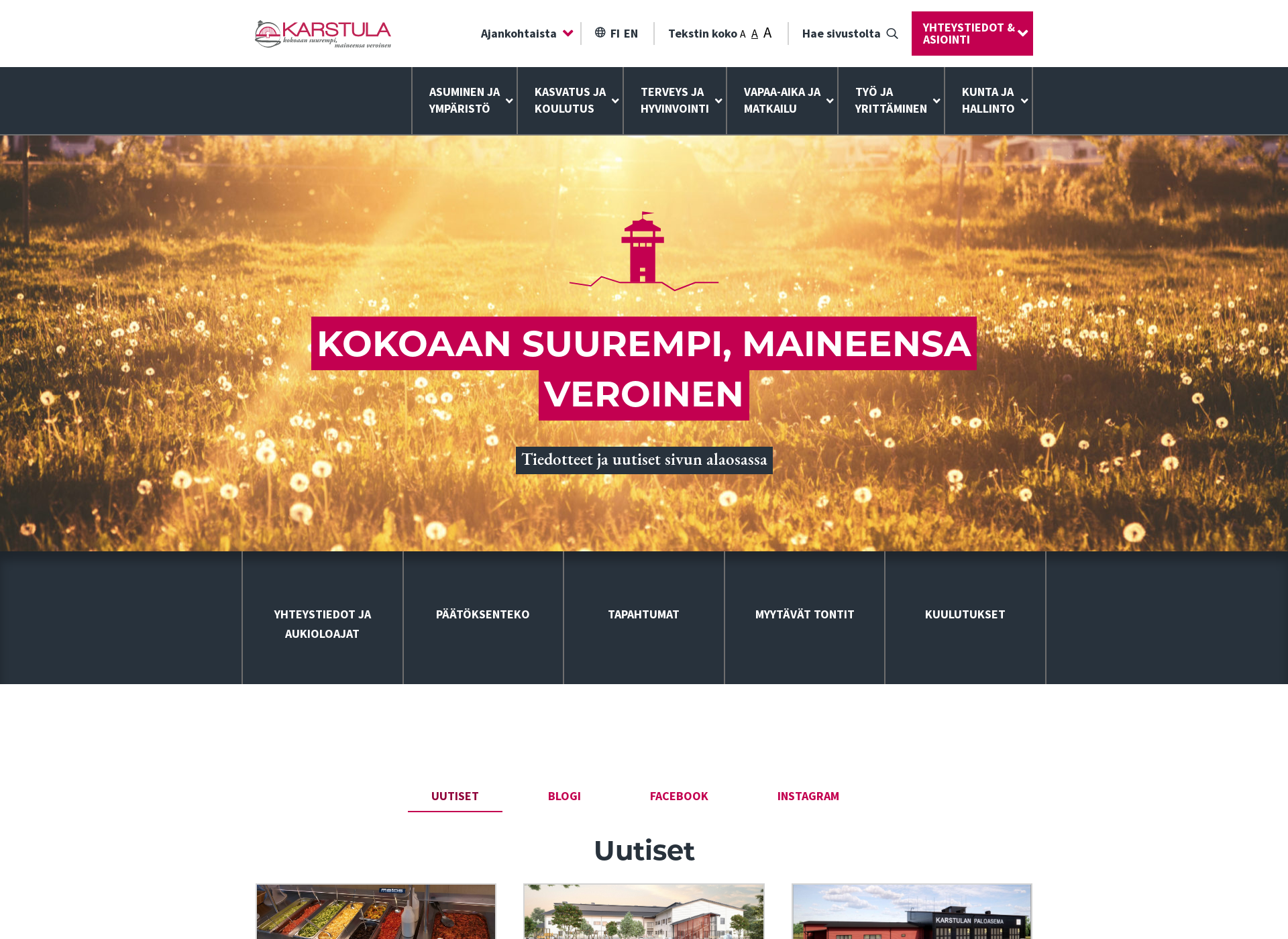 Screenshot for karstula.fi