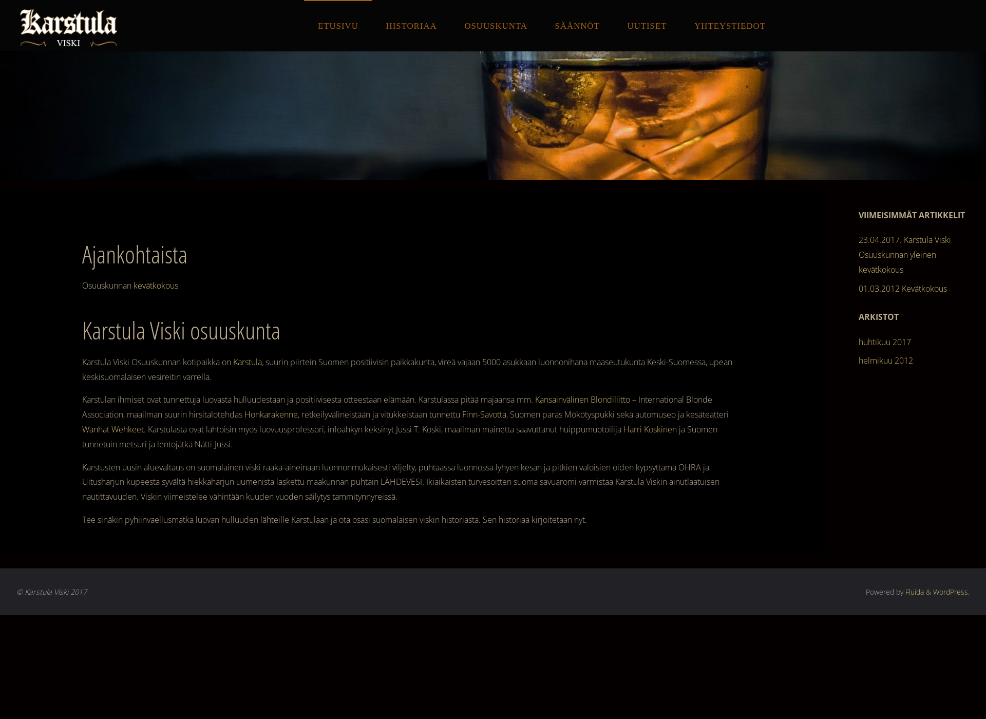 Screenshot for karstulaviski.com