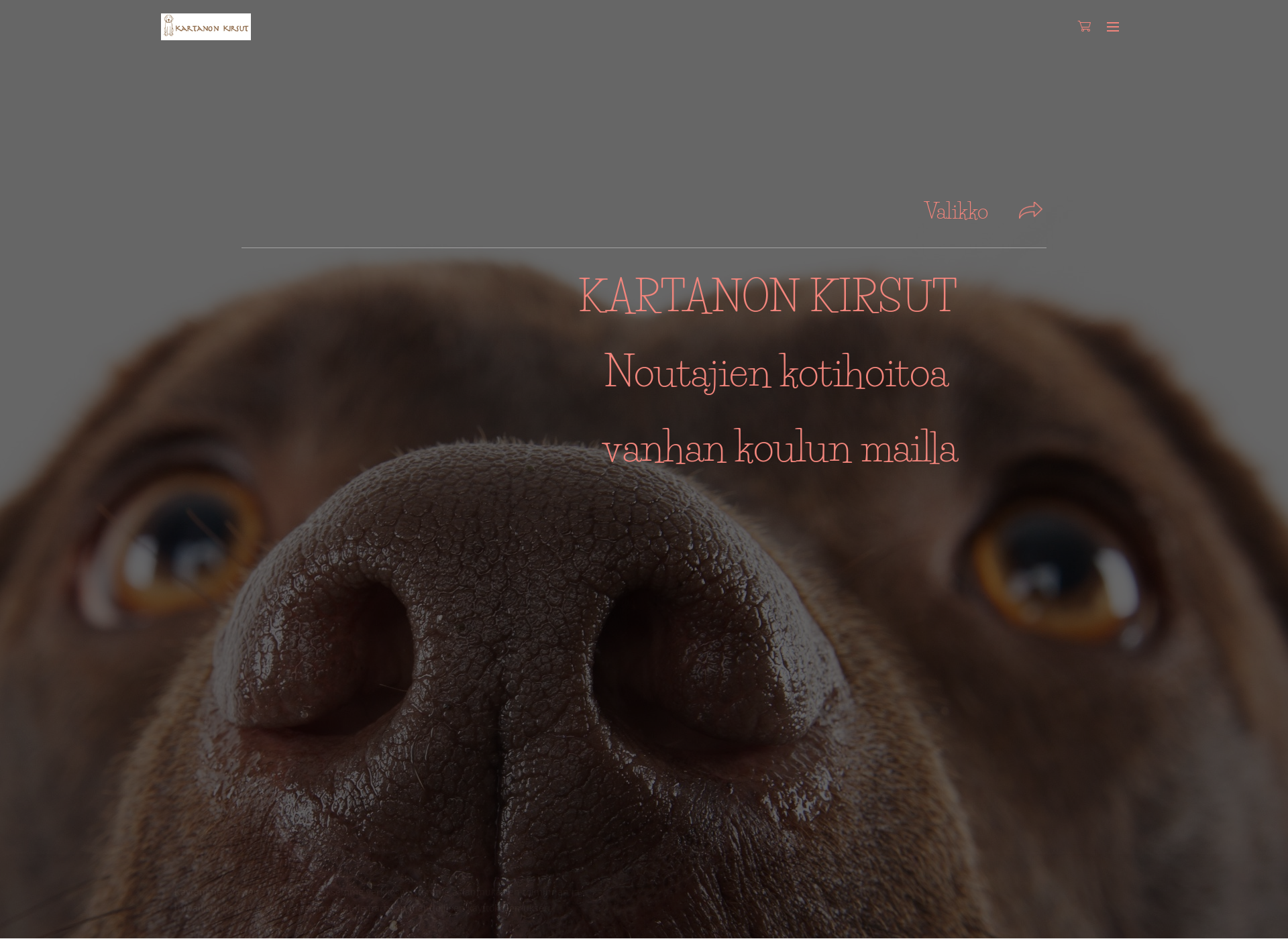 Screenshot for kartanonkirsut.fi