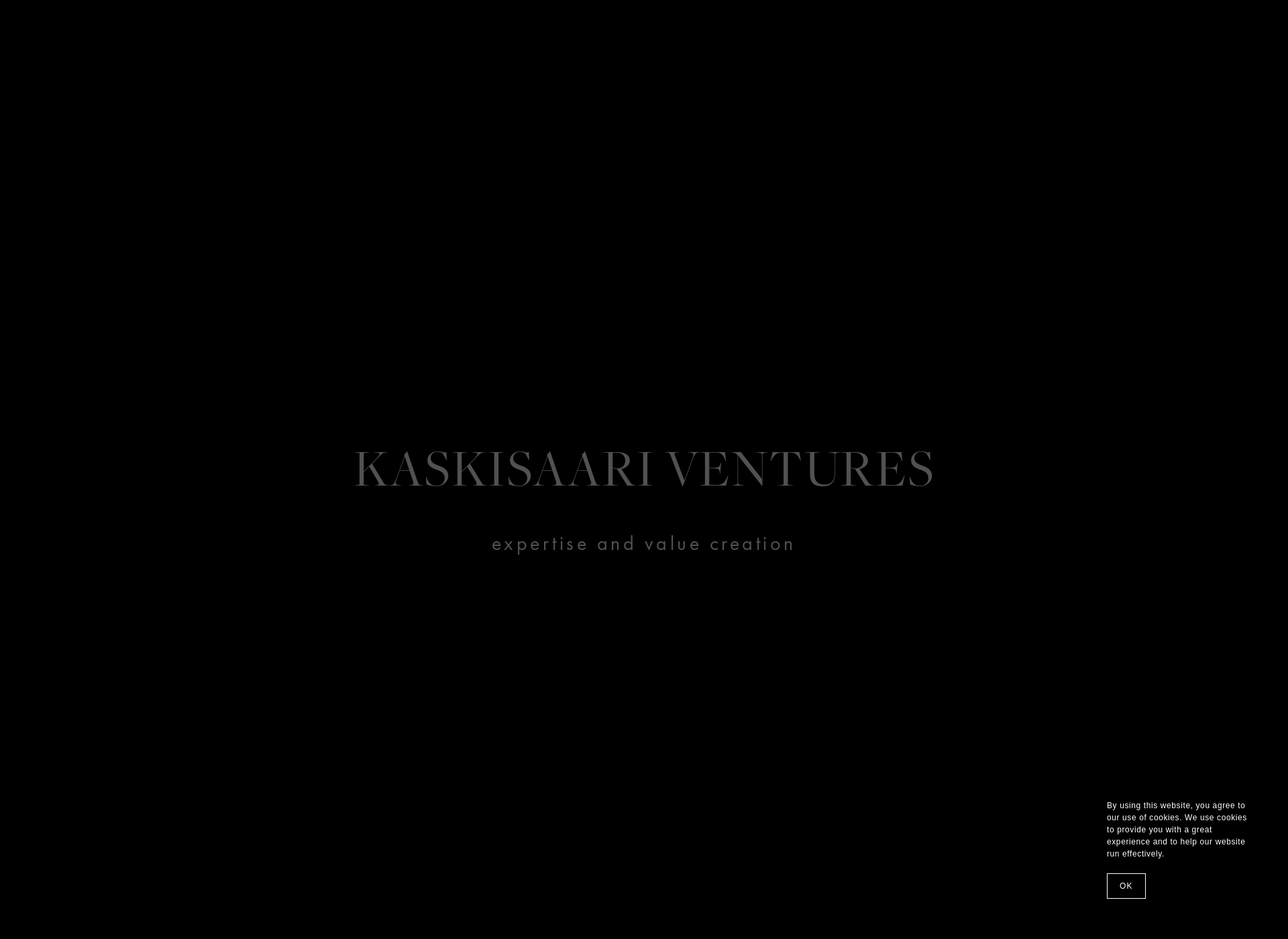 Screenshot for kaskisaari.fi