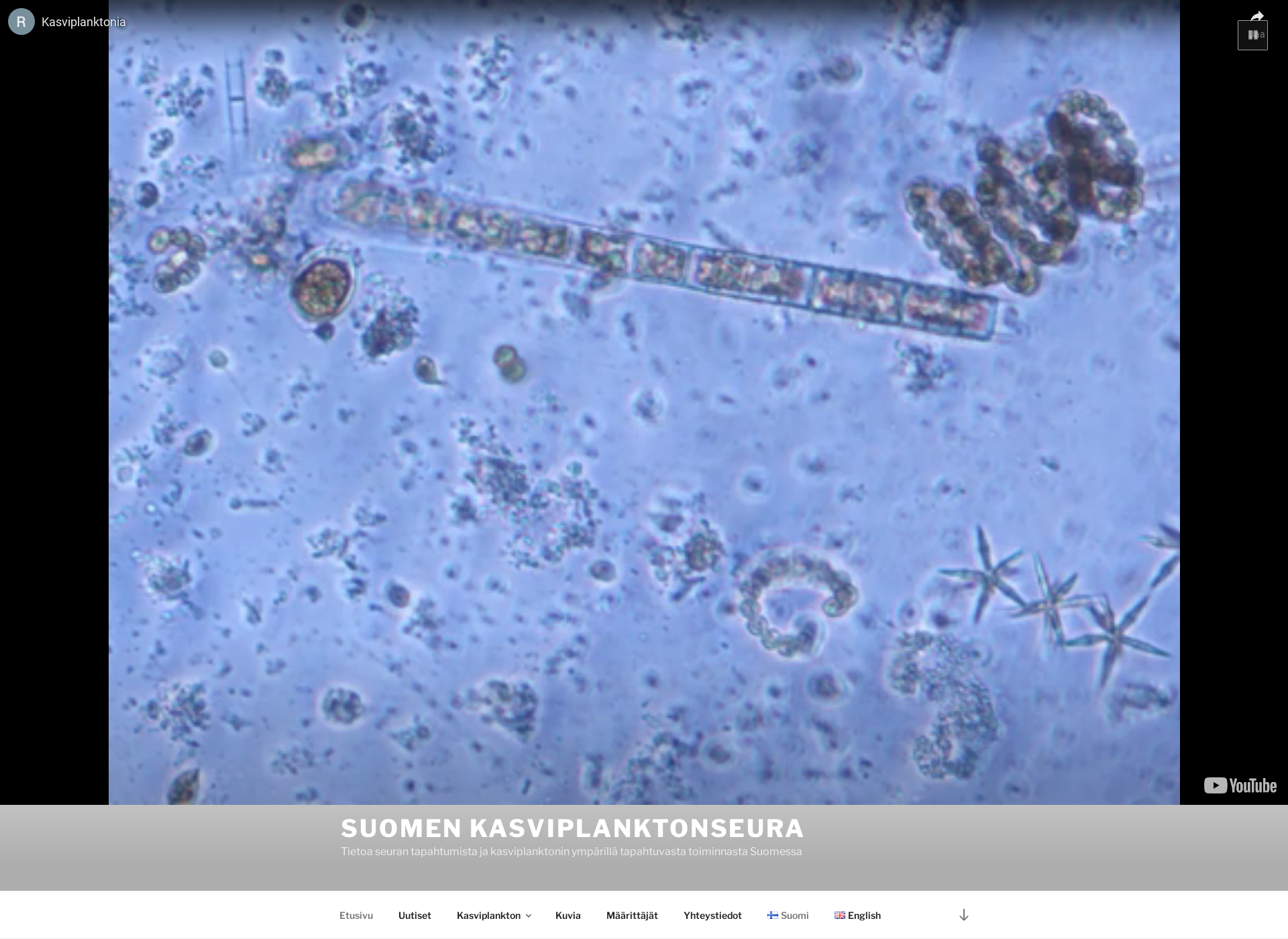 Skärmdump för kasviplanktonseura.fi