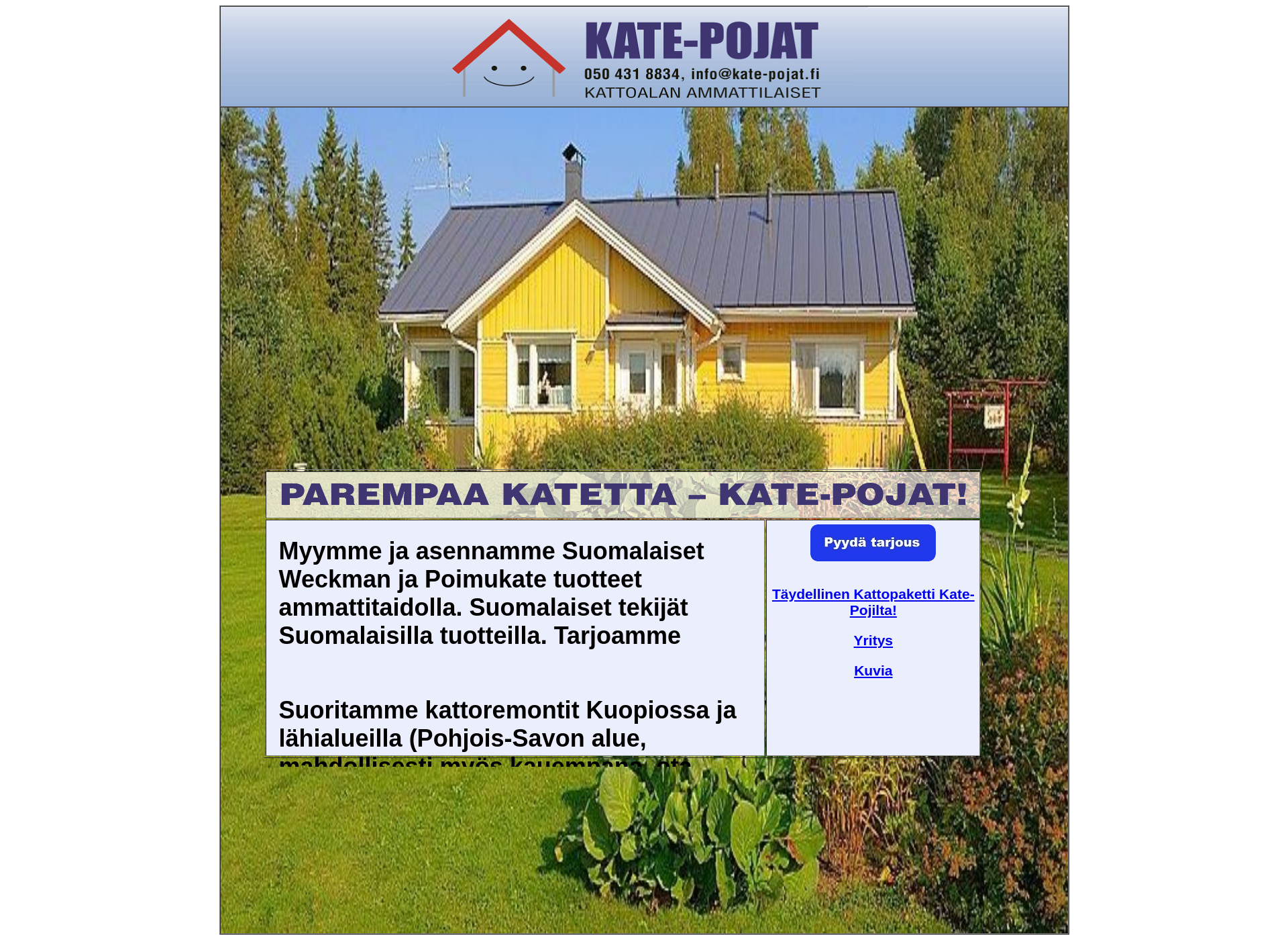Screenshot for kate-pojat.fi