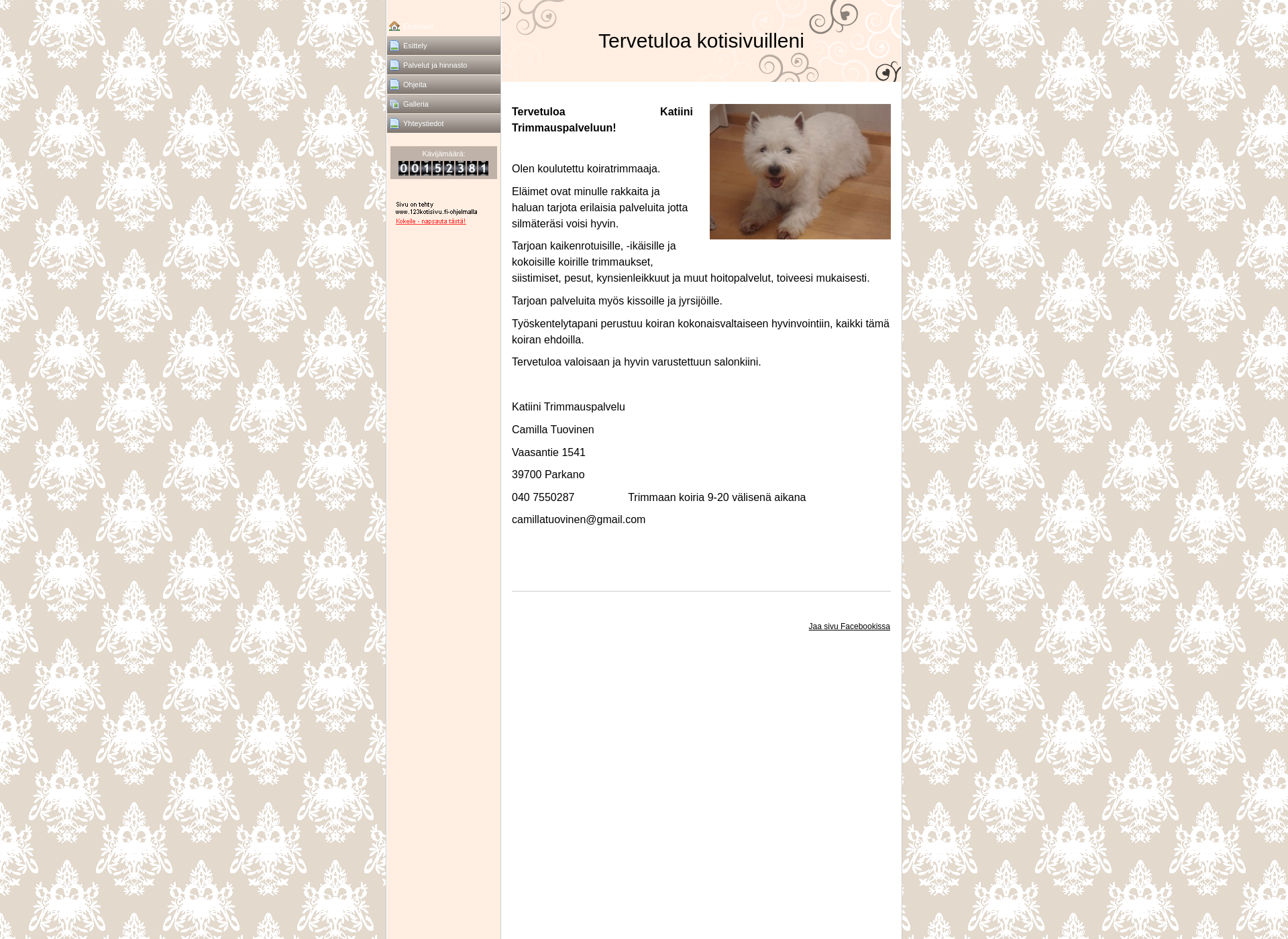 Screenshot for katiini.fi