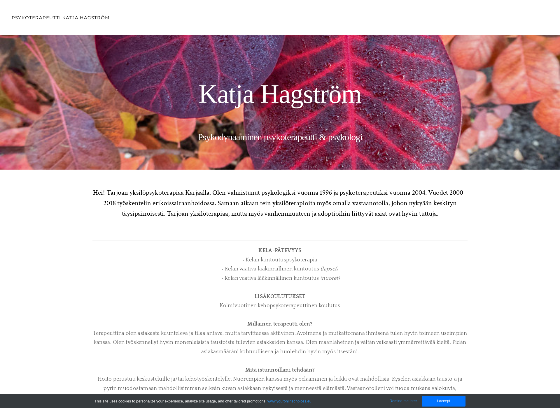 Screenshot for katjahagstrom.fi