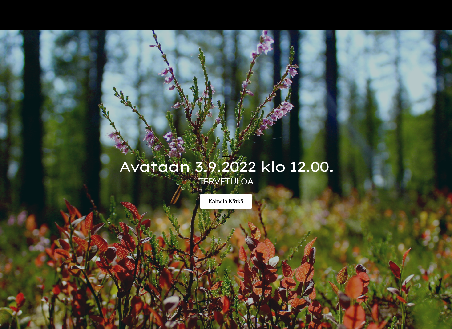 Screenshot for katka.fi