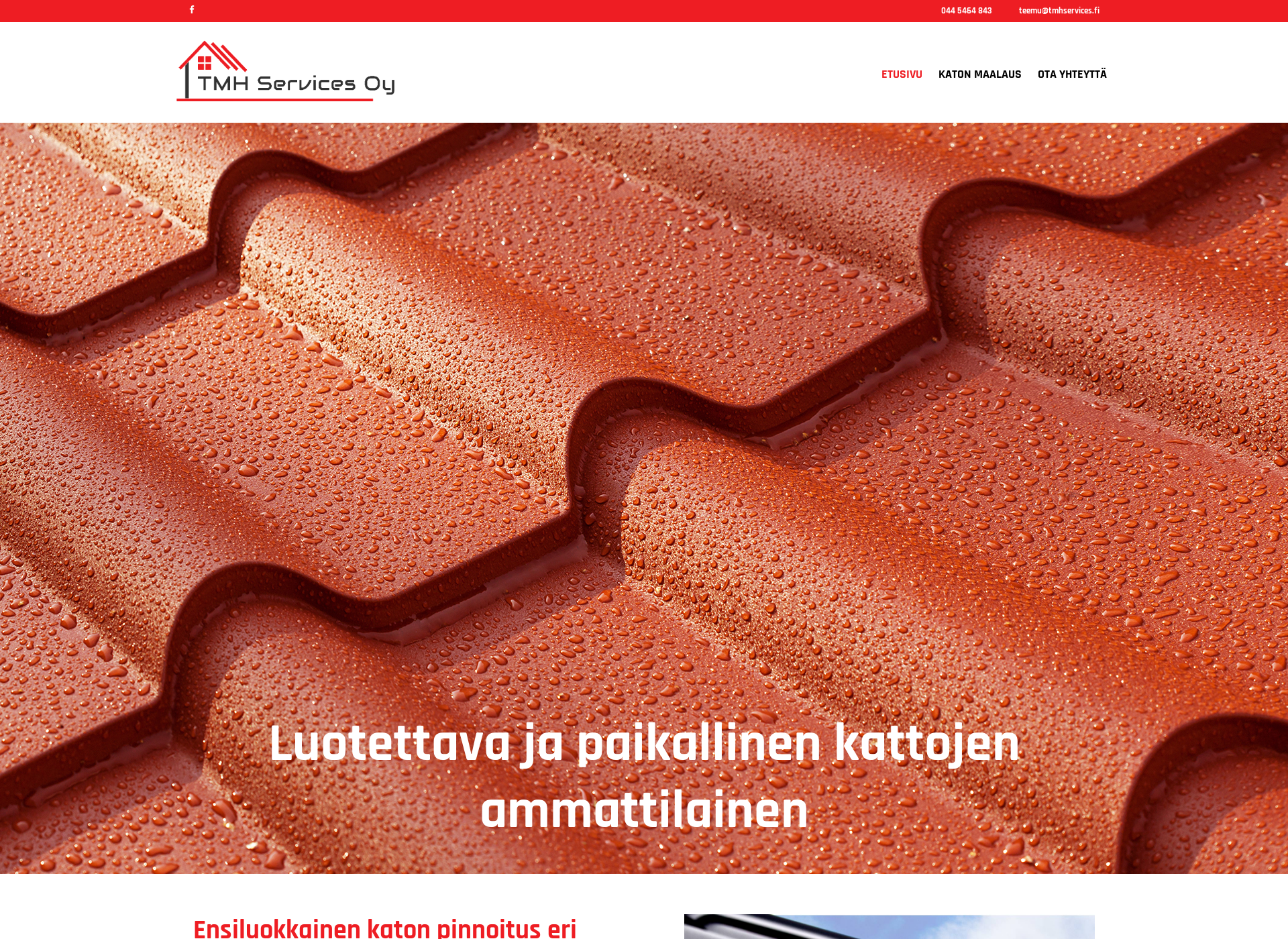 Screenshot for katonpinnoitusturku.fi