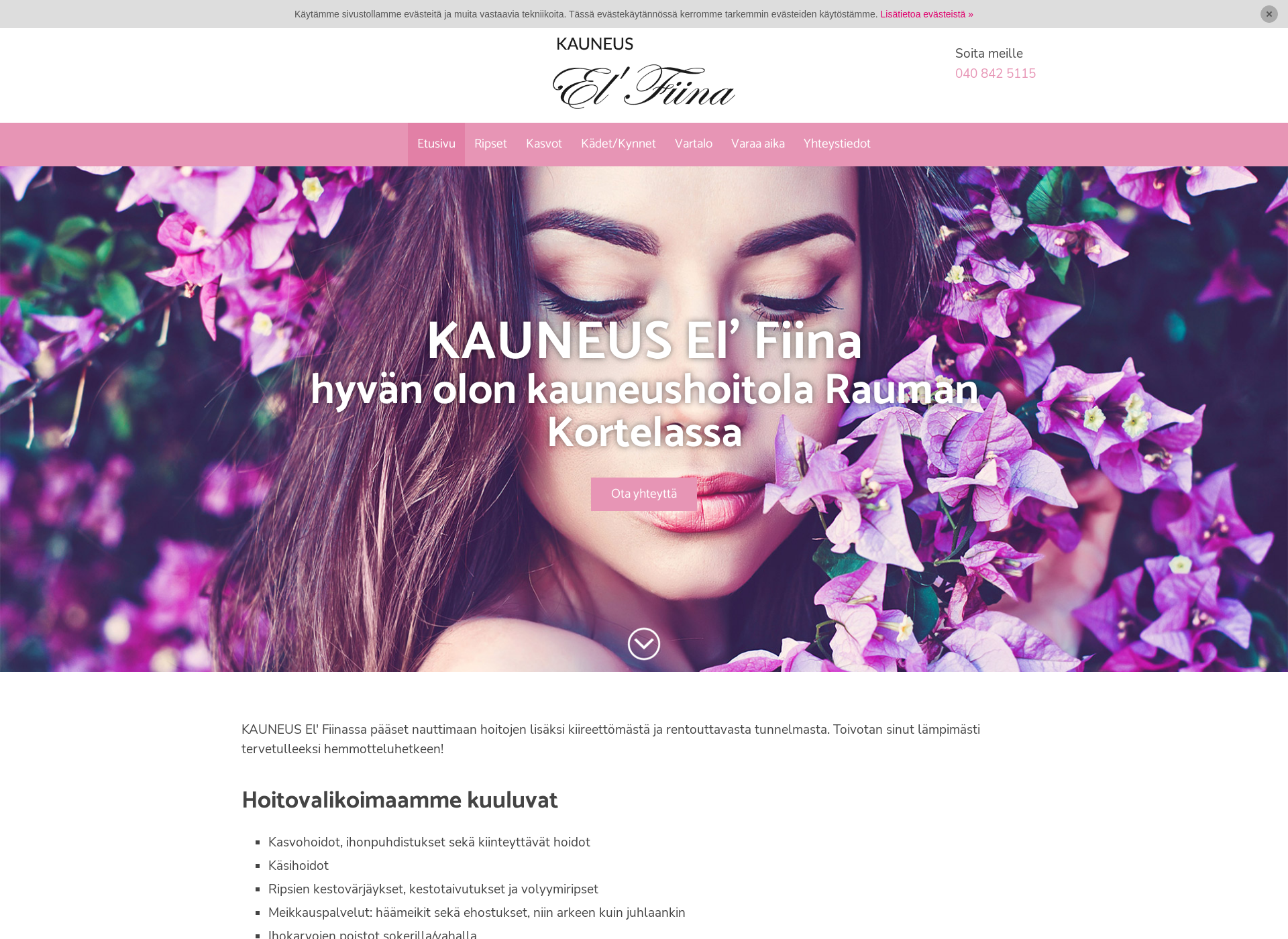 Screenshot for kauneushoitolaelfiina.fi