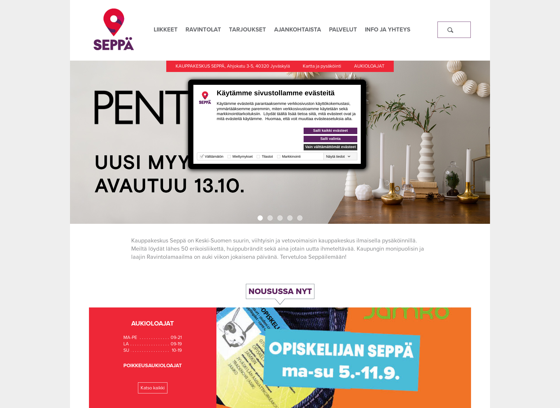 Screenshot for kauppakeskusseppa.fi