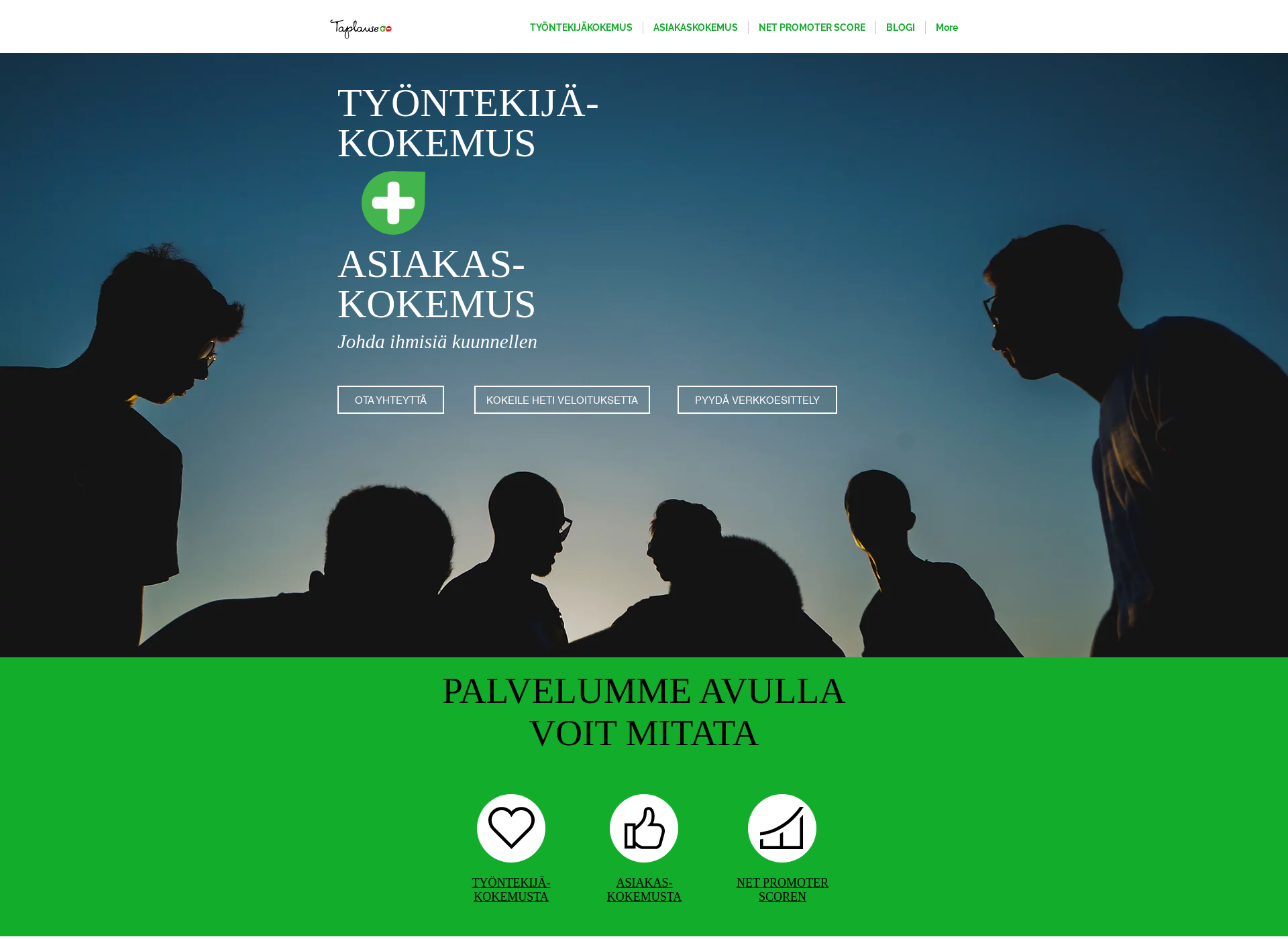 Screenshot for kaupunkipalaute.fi