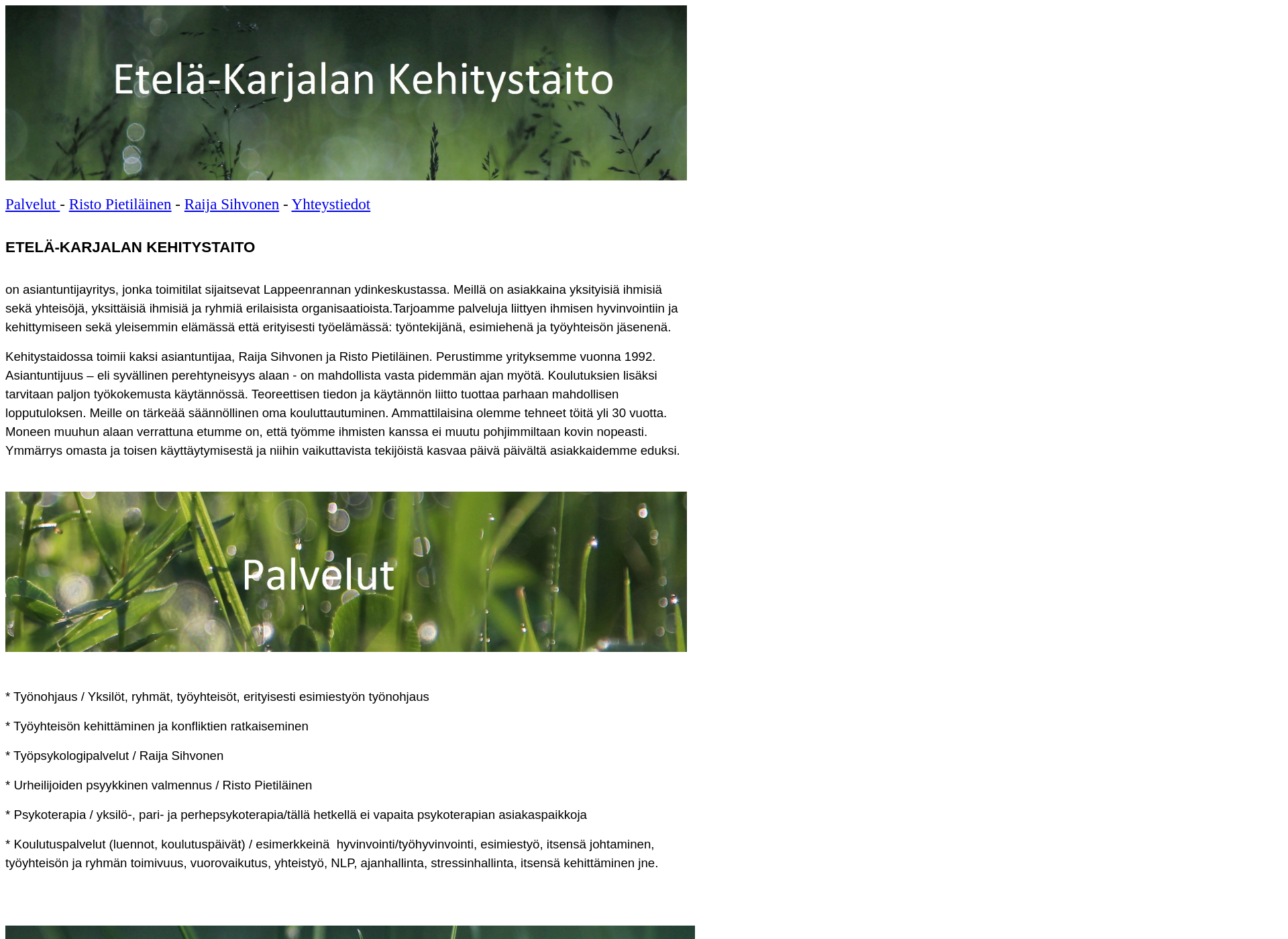 Skärmdump för kehitystaito.fi
