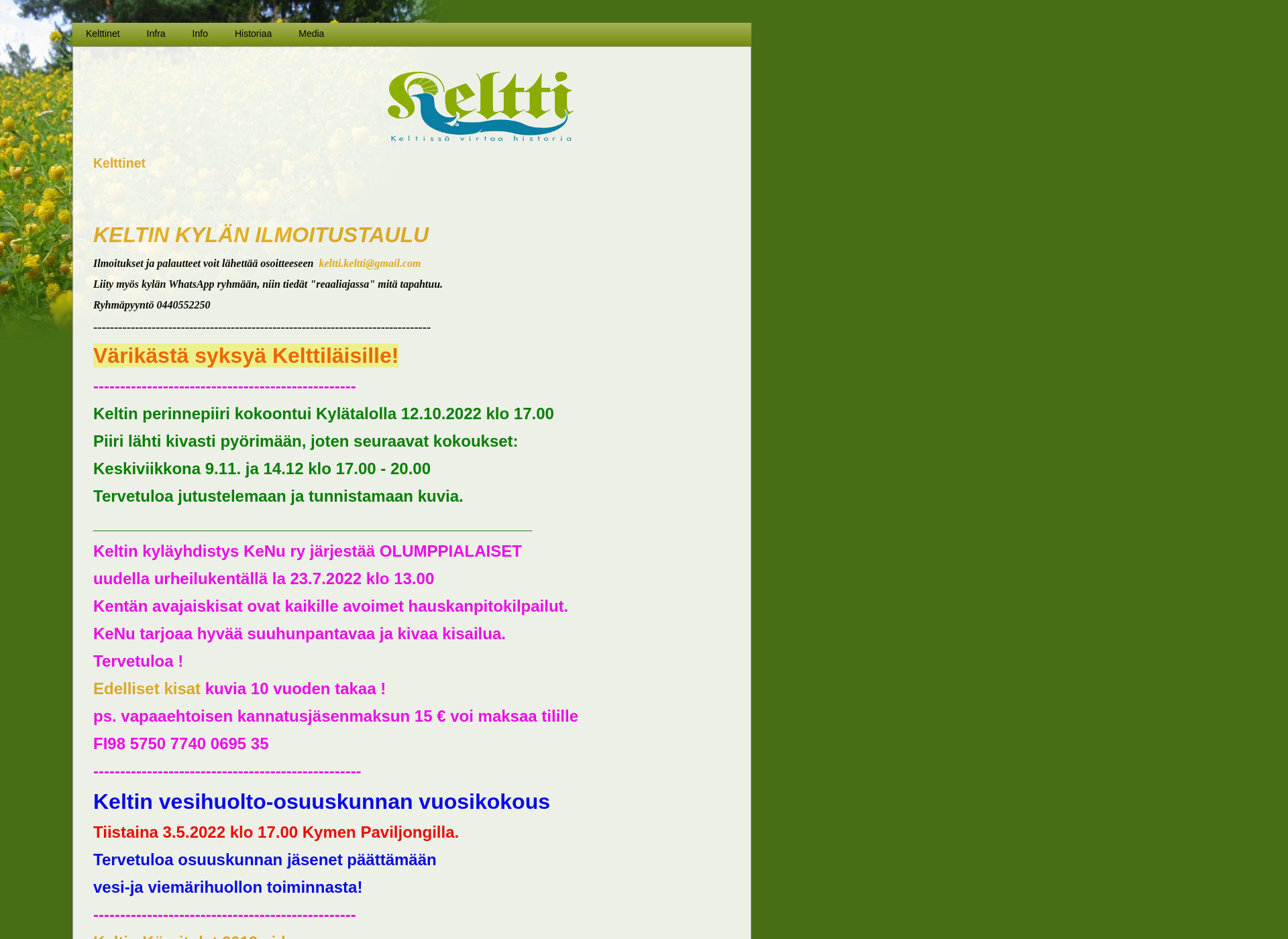 Screenshot for keltti.net