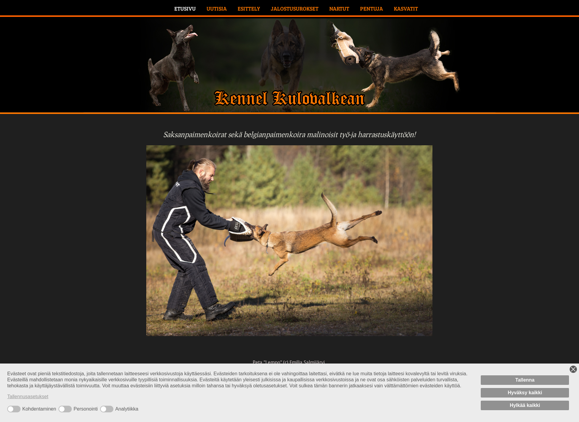 Screenshot for kennelkulovalkean.com