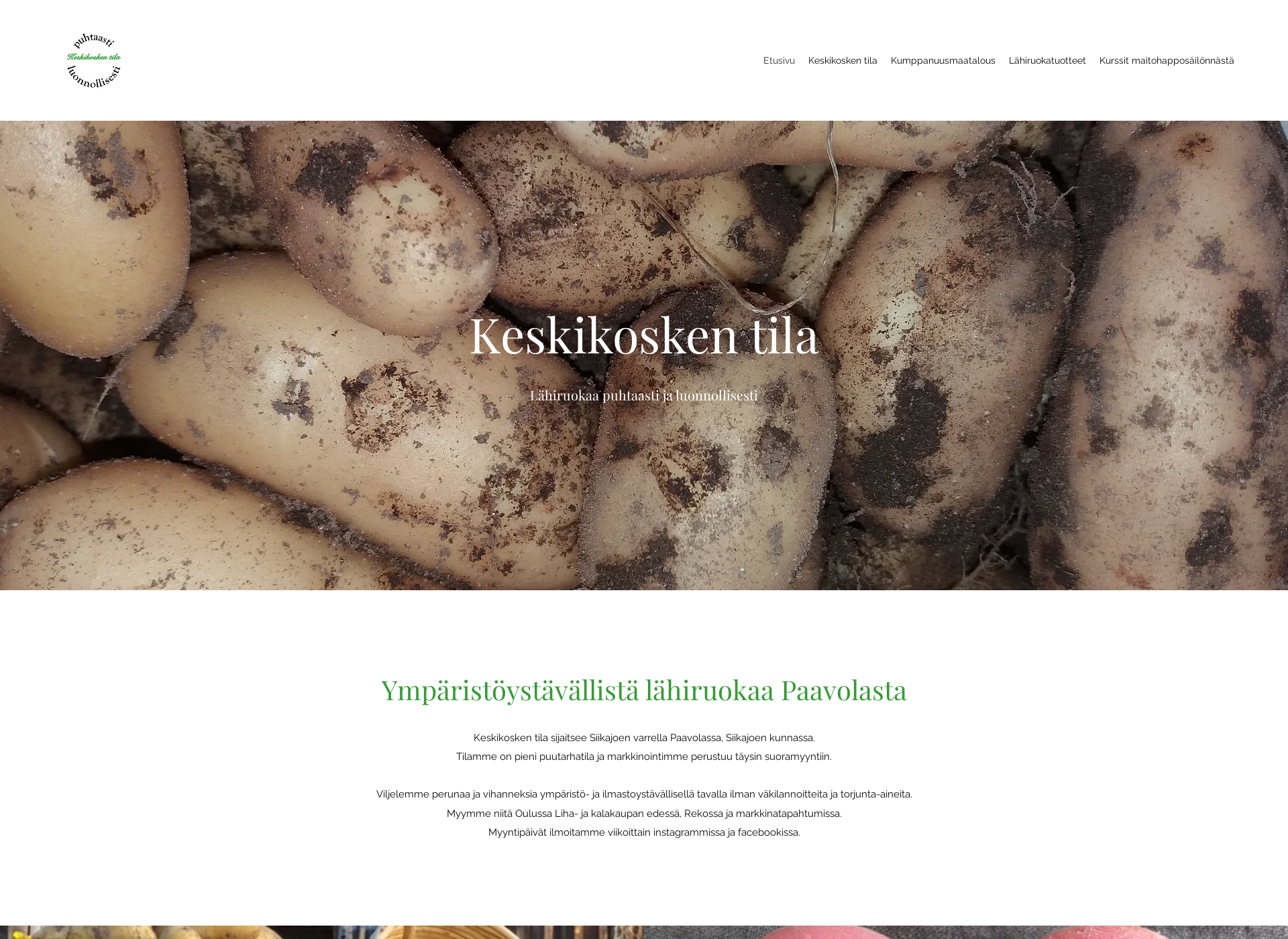 Screenshot for keskikoskentila.fi