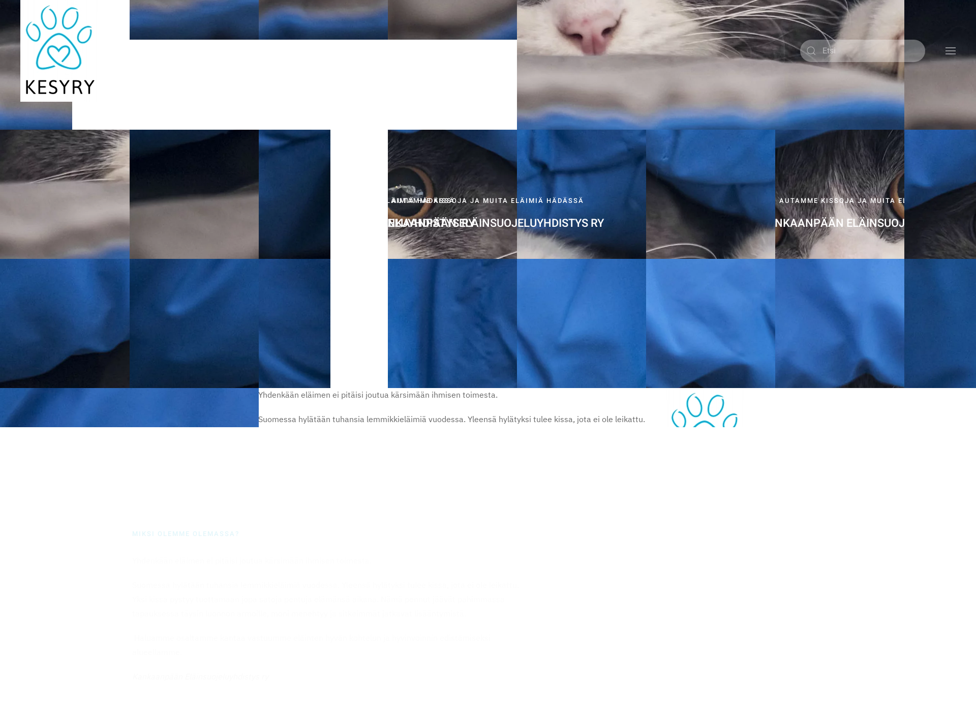 Screenshot for kesyry.fi