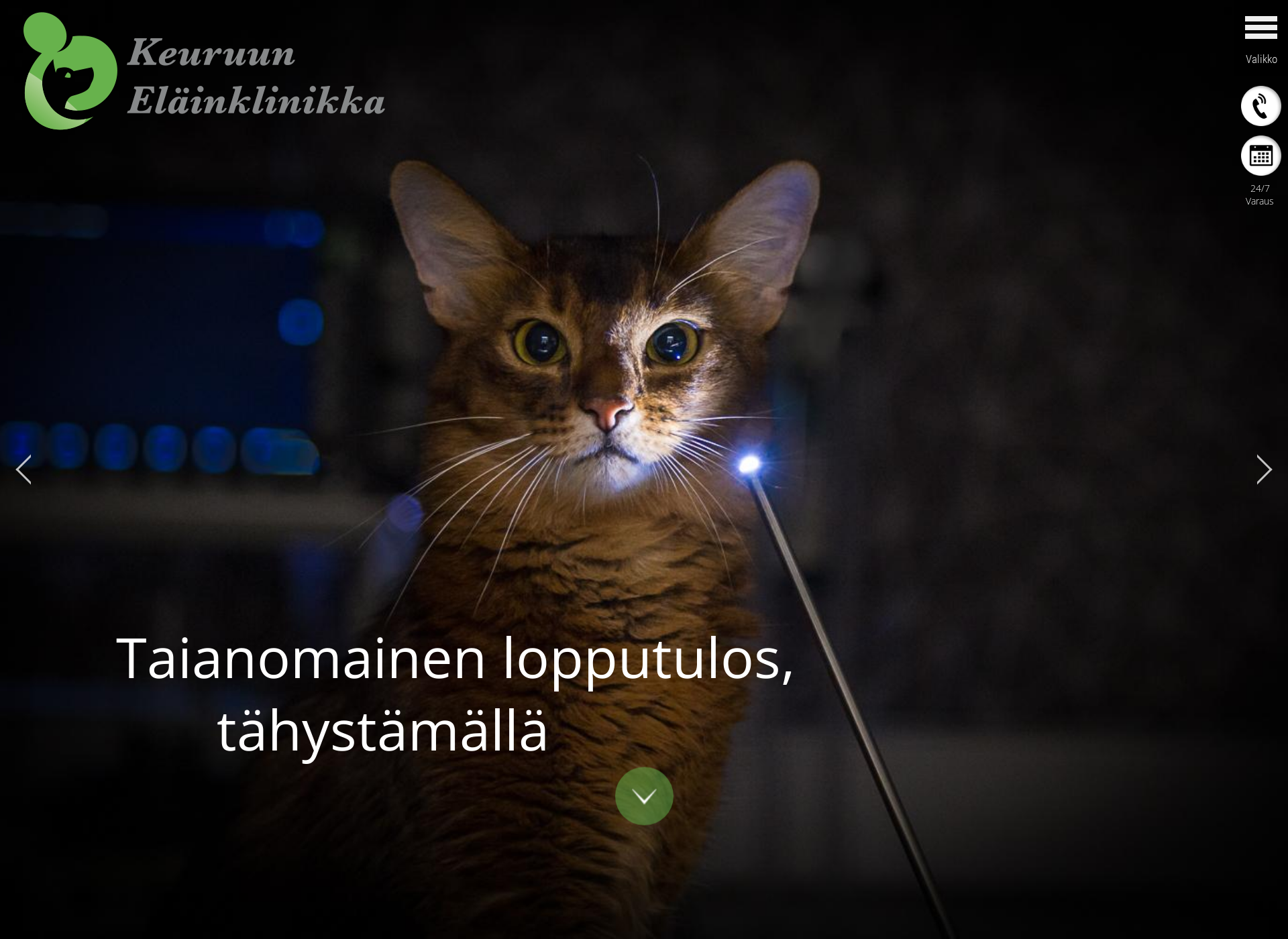 Skärmdump för keuruunelainklinikka.fi