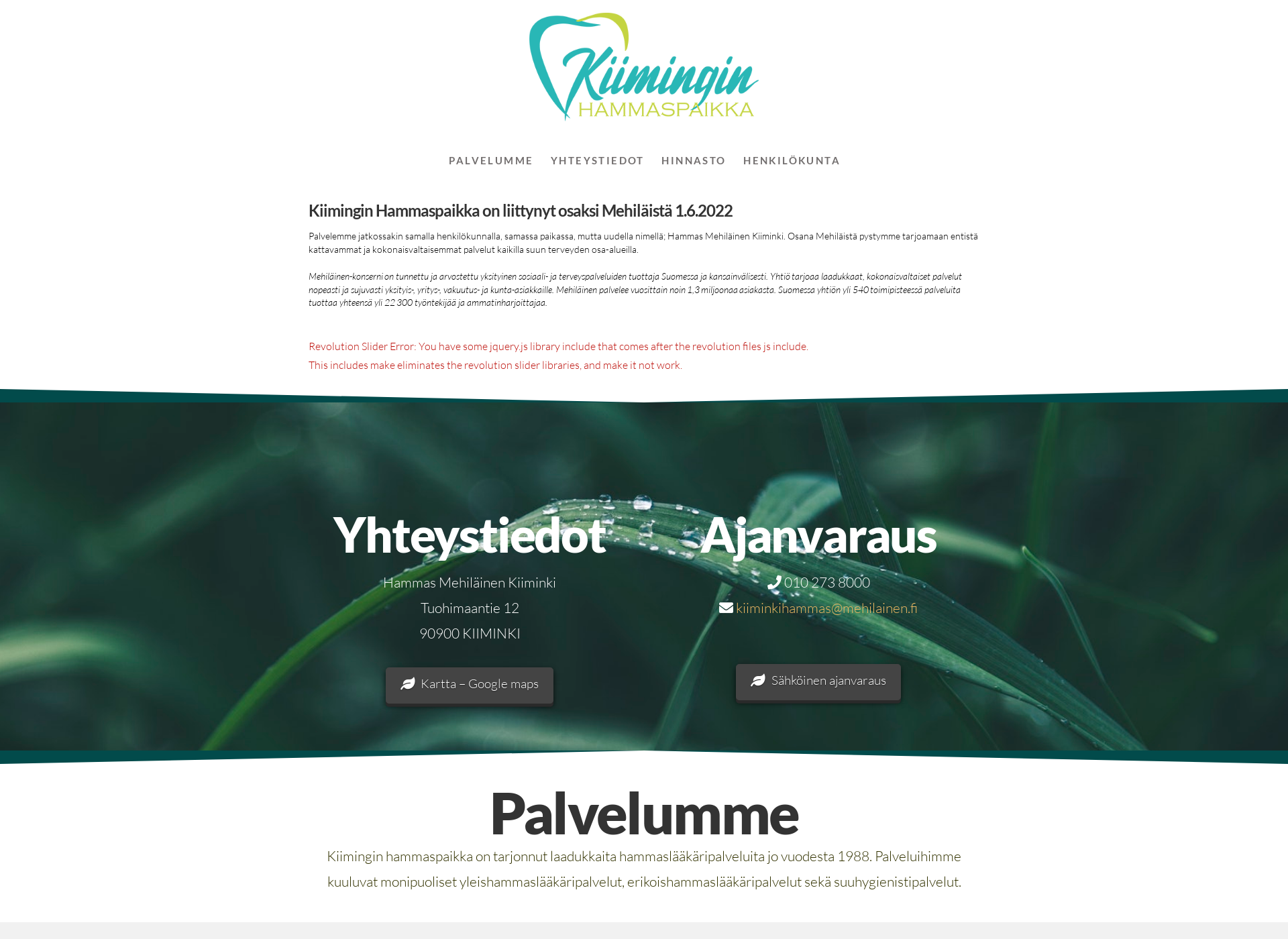 Screenshot for kiiminginhammaspaikka.fi