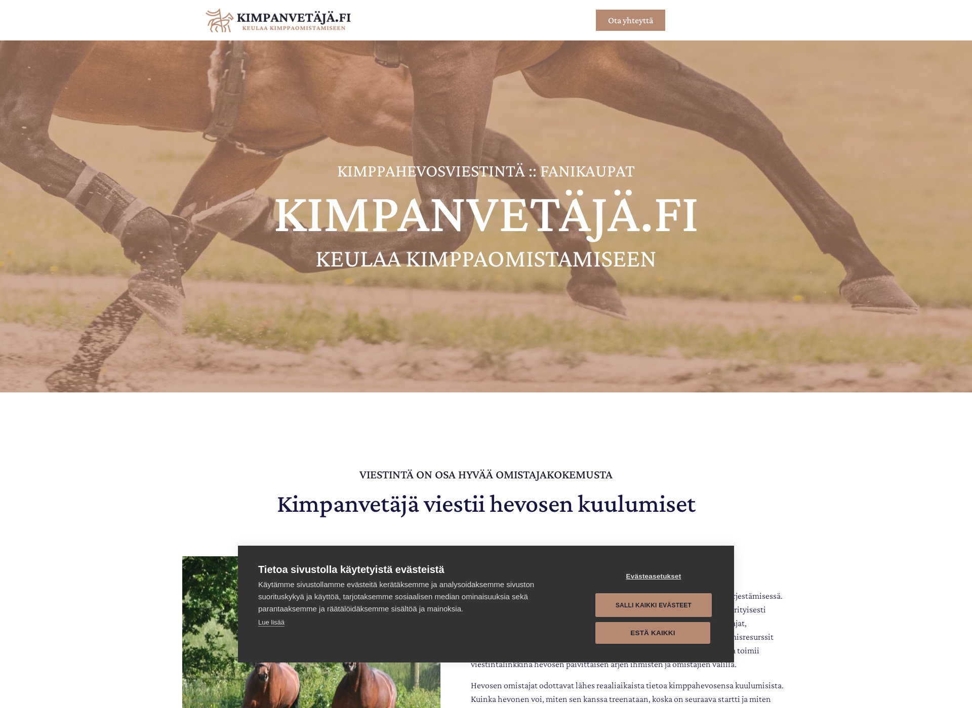 Screenshot for kimpanvetaja.fi