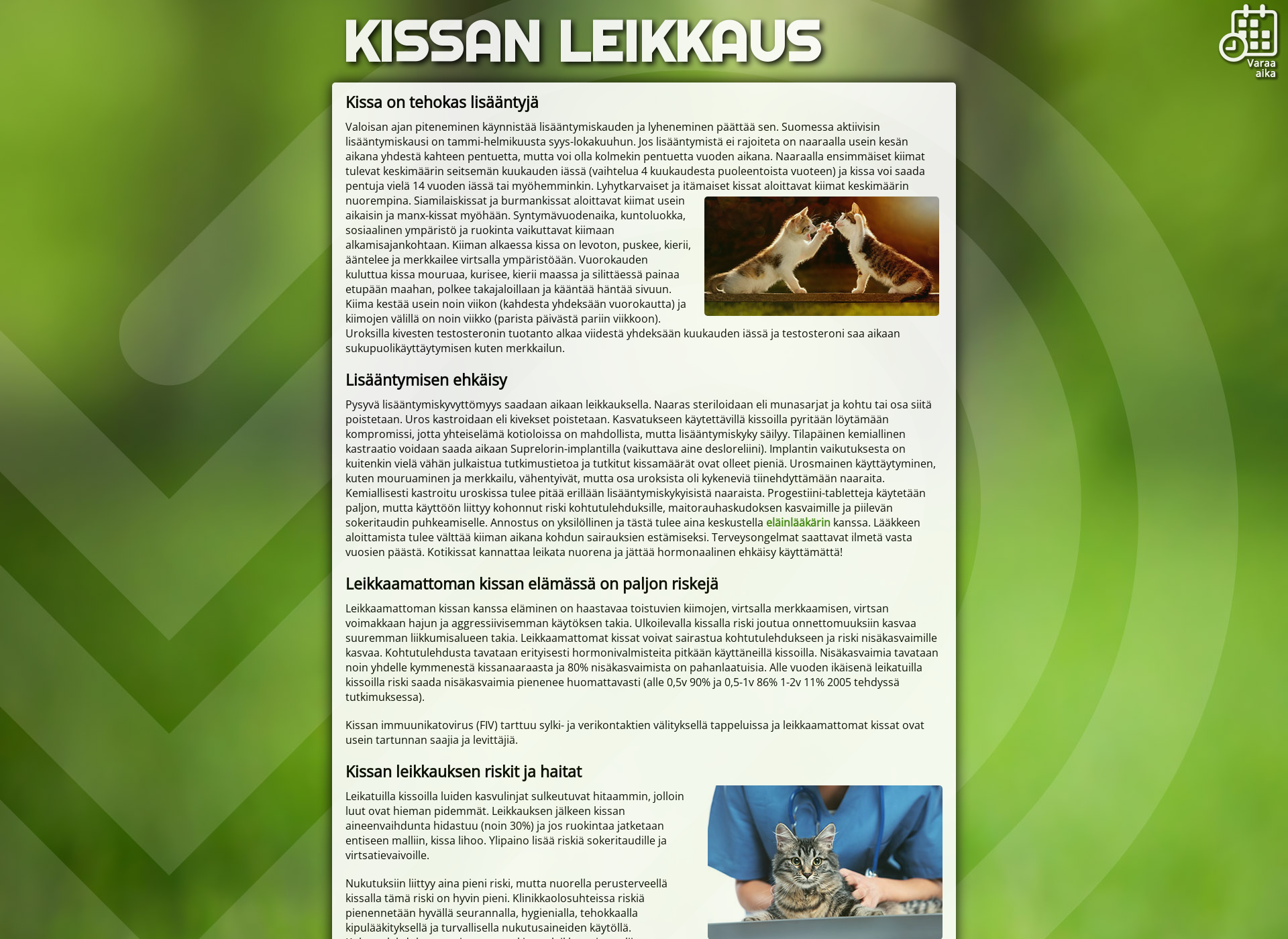 Skärmdump för kissanleikkaus.fi