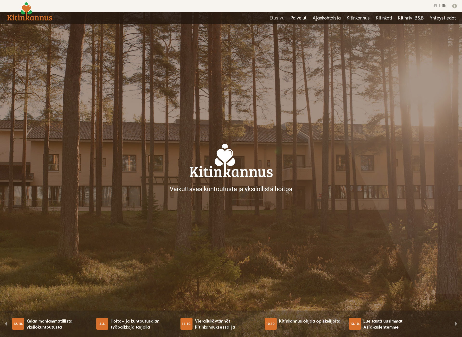 Screenshot for kitinkannus.fi
