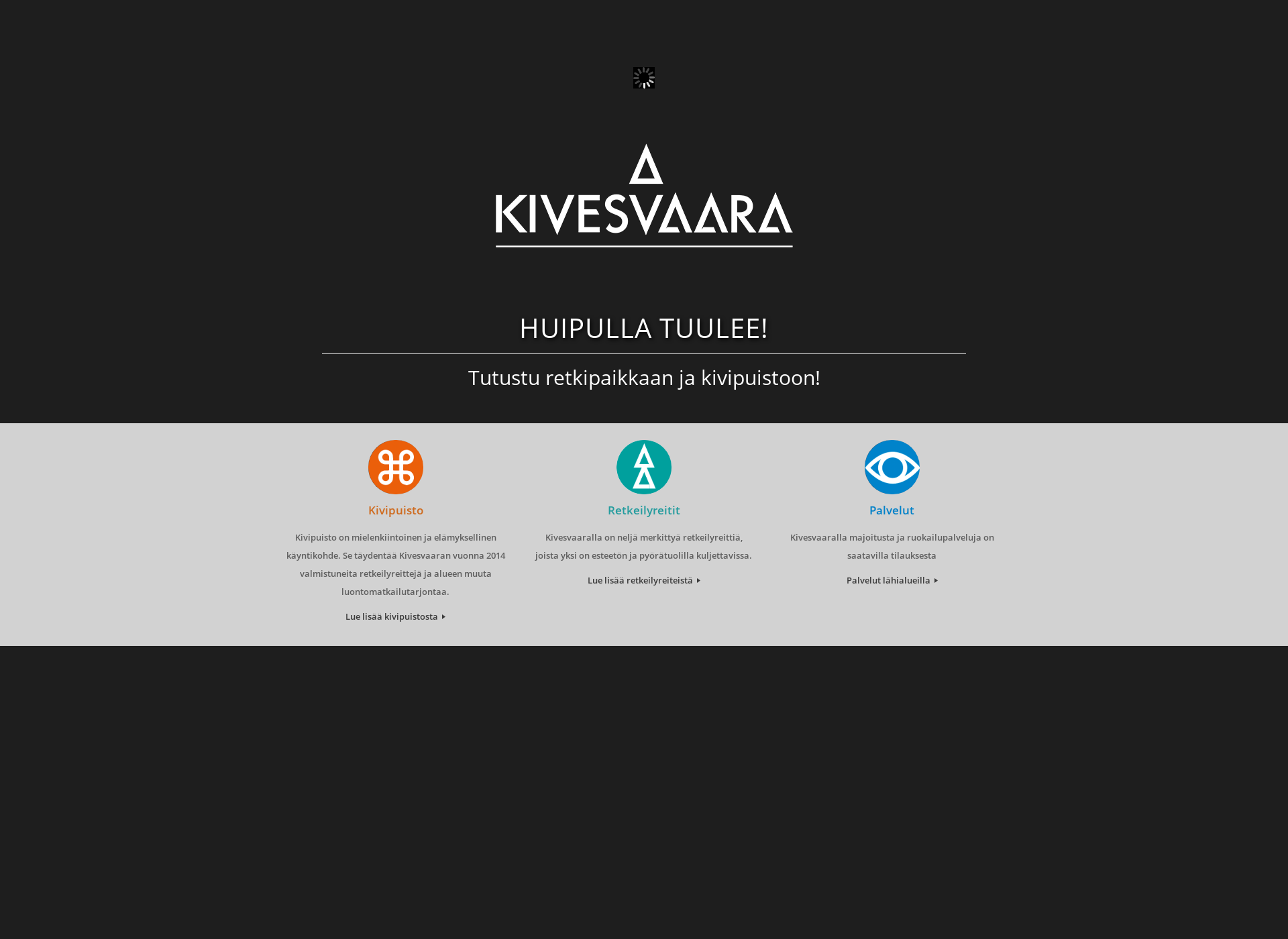 Skärmdump för kivesvaara.fi