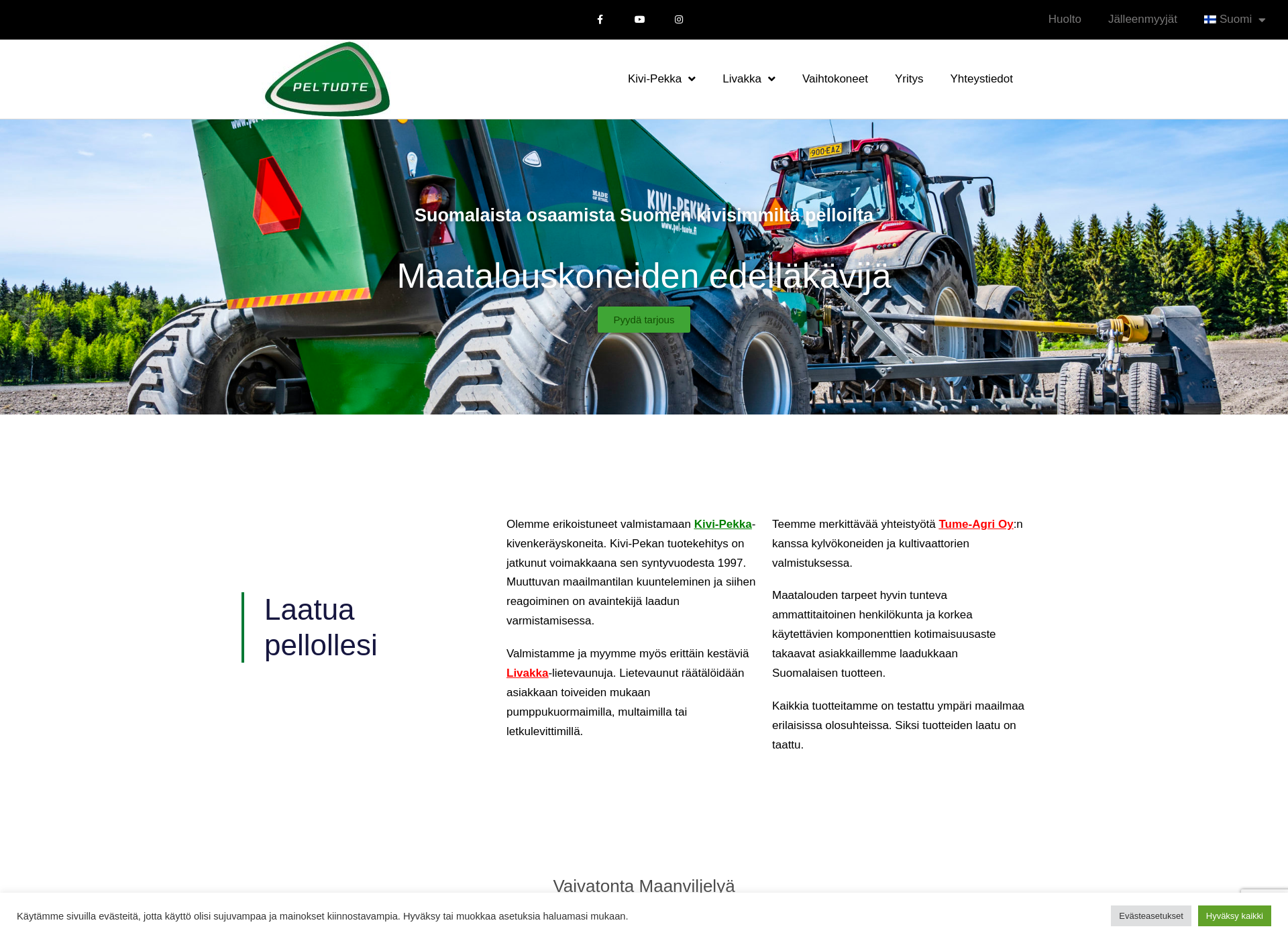 Screenshot for kivi-pekka.fi