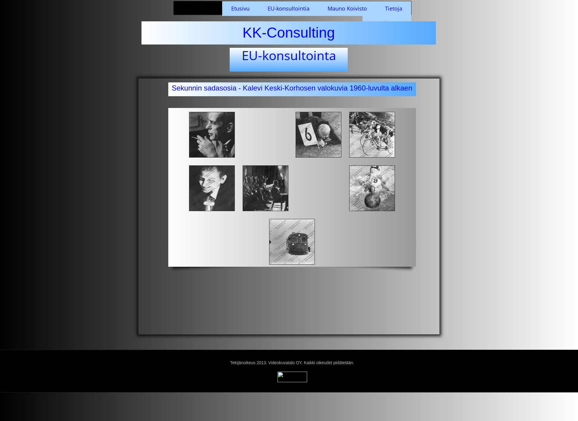 Screenshot for kk-consulting.fi