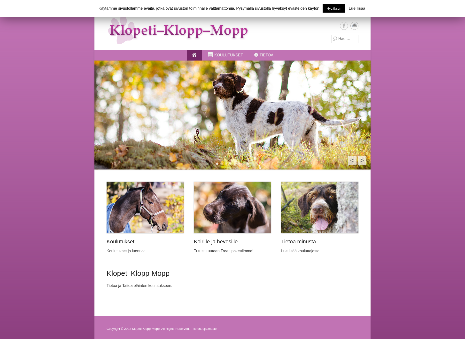 Screenshot for klopeti-klopp-mopp.fi