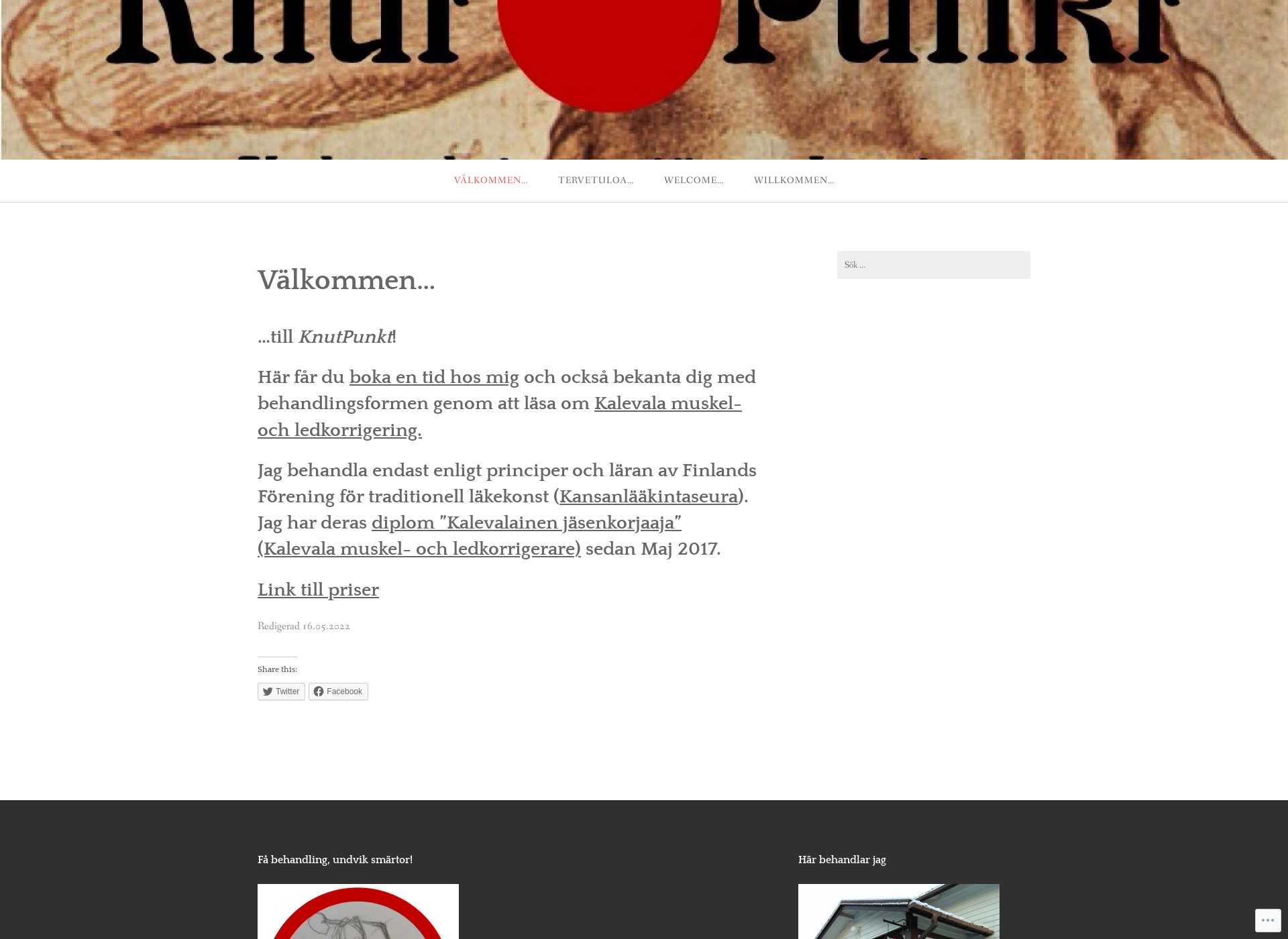 Screenshot for knutpunkt.fi
