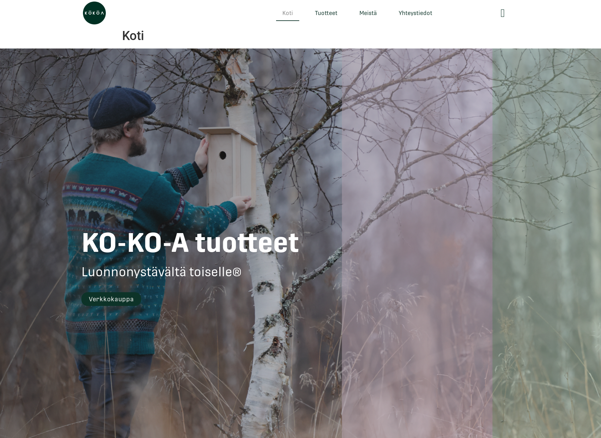 Screenshot for ko-ko-a.fi