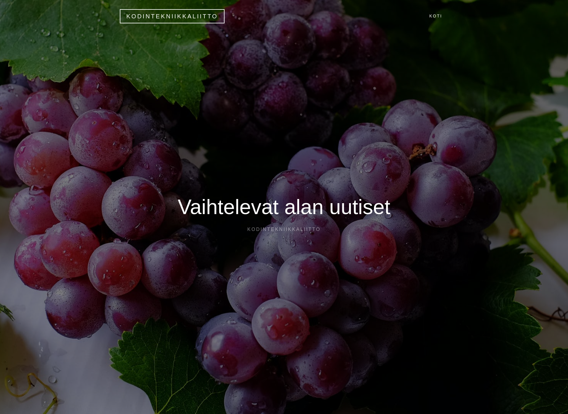Screenshot for kodintekniikkaliitto.fi