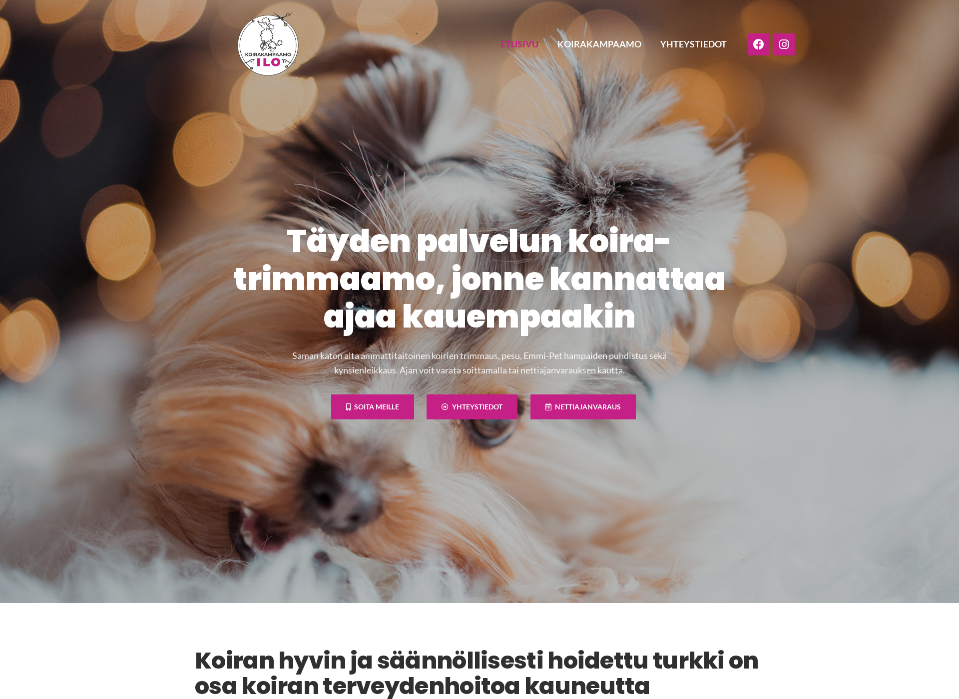 Skärmdump för koirakampaamoilo.fi